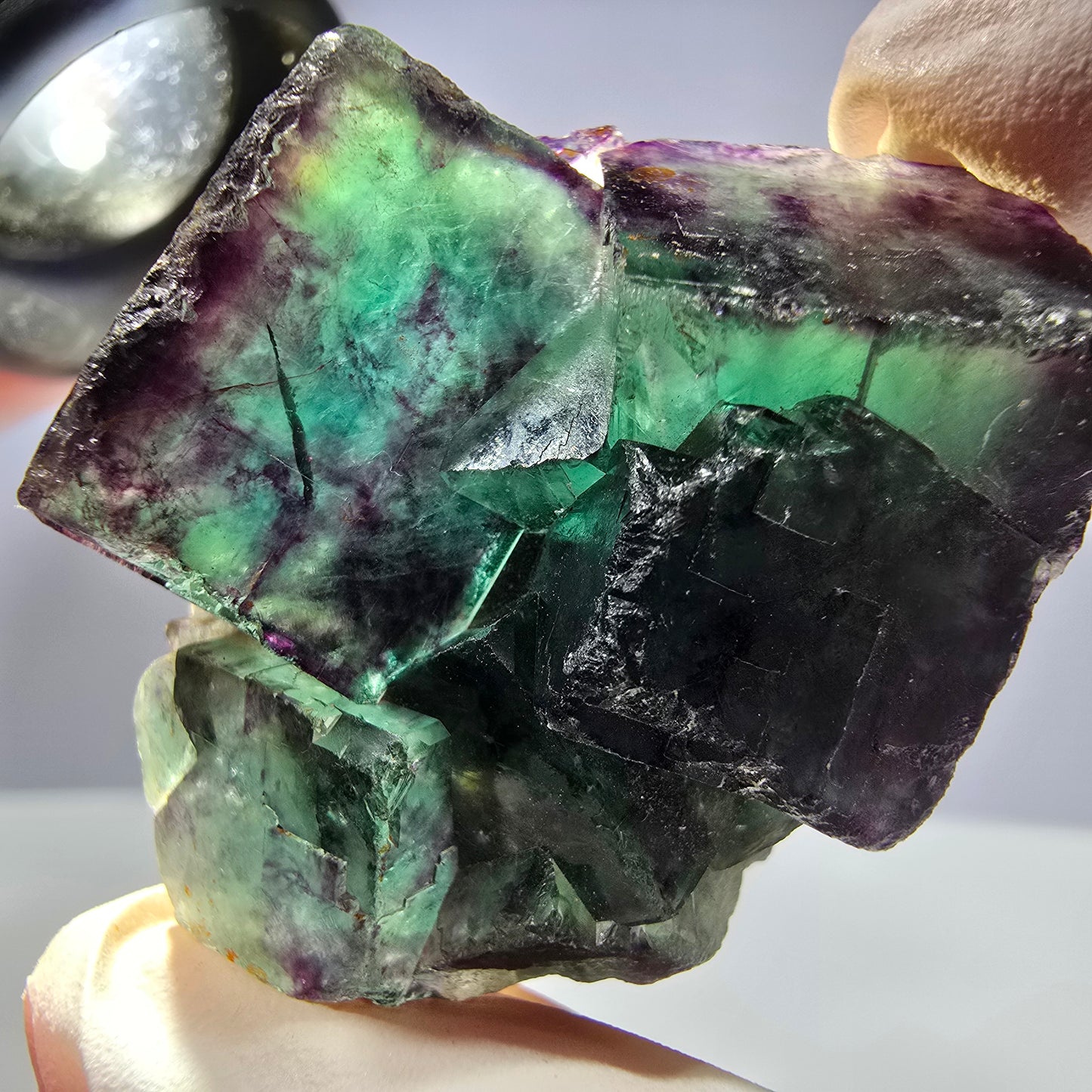 Spécimen de cube de fluorite fantôme parqueté vert violet Okorusu, Namibie 44*35*21mm