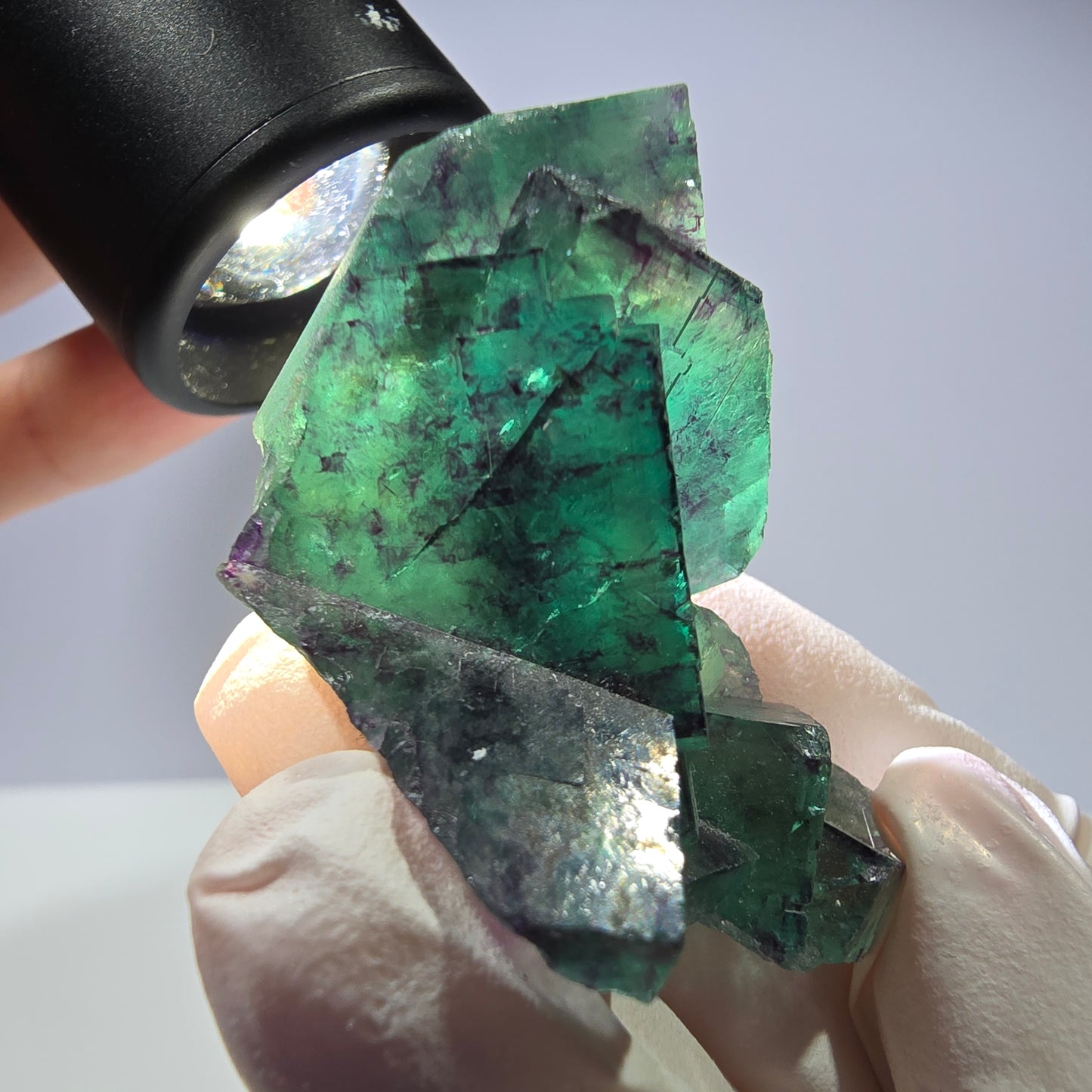 Spécimen de cube de fluorite fantôme parqueté vert violet Okorusu, Namibie 46*34*32mm