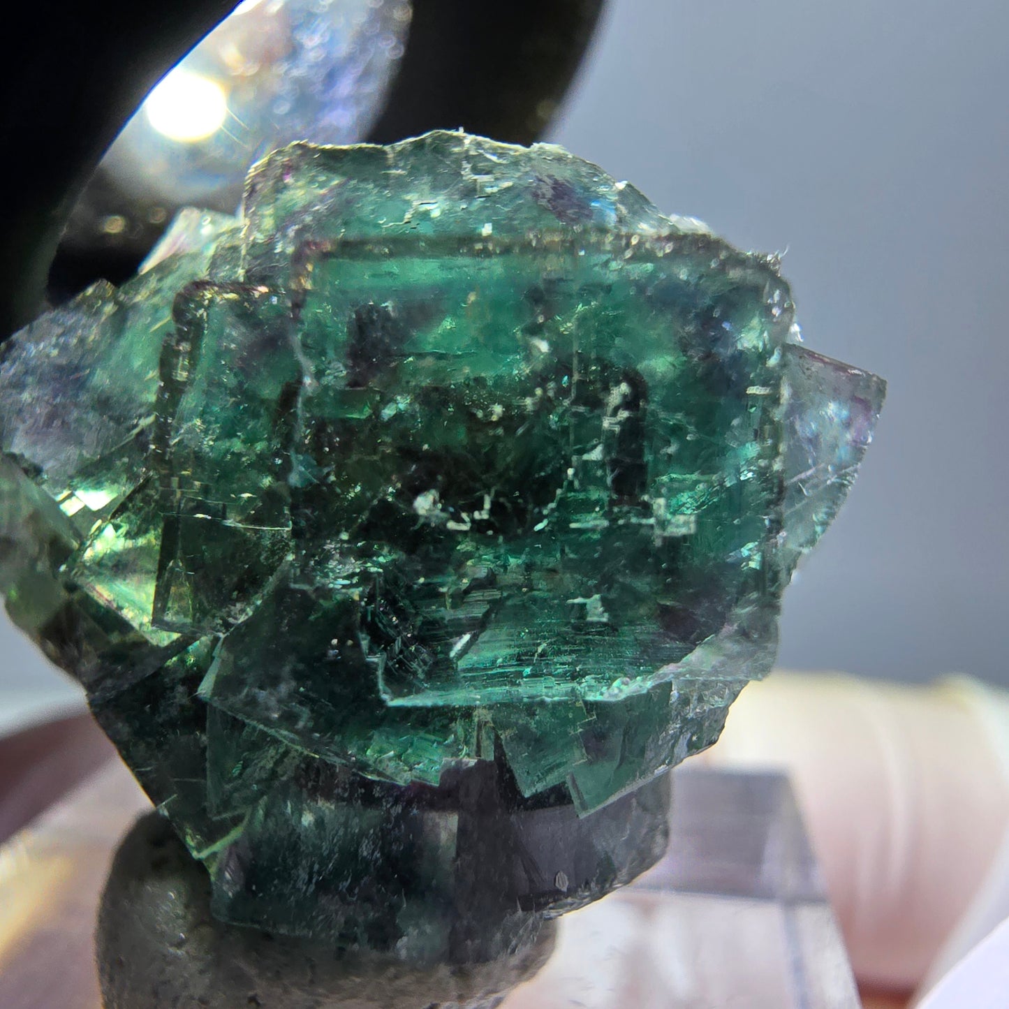 Spécimen de cube de fluorite fantôme, parqueté vert violet Okorusu, Namibie 27*24*17 mm