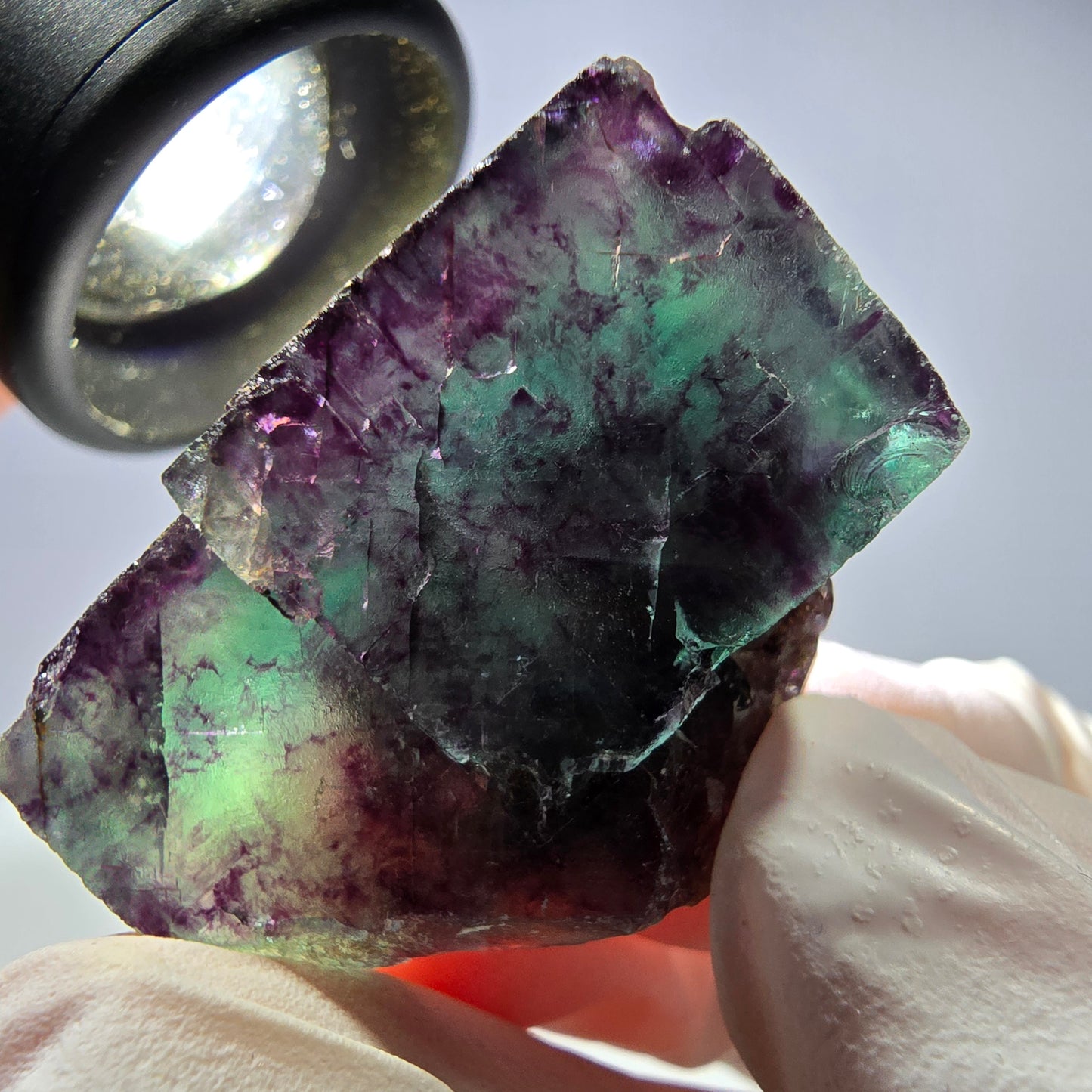 Spécimen de cube de fluorite fantôme parqueté vert violet Okorusu, Namibie 34*26*21mm