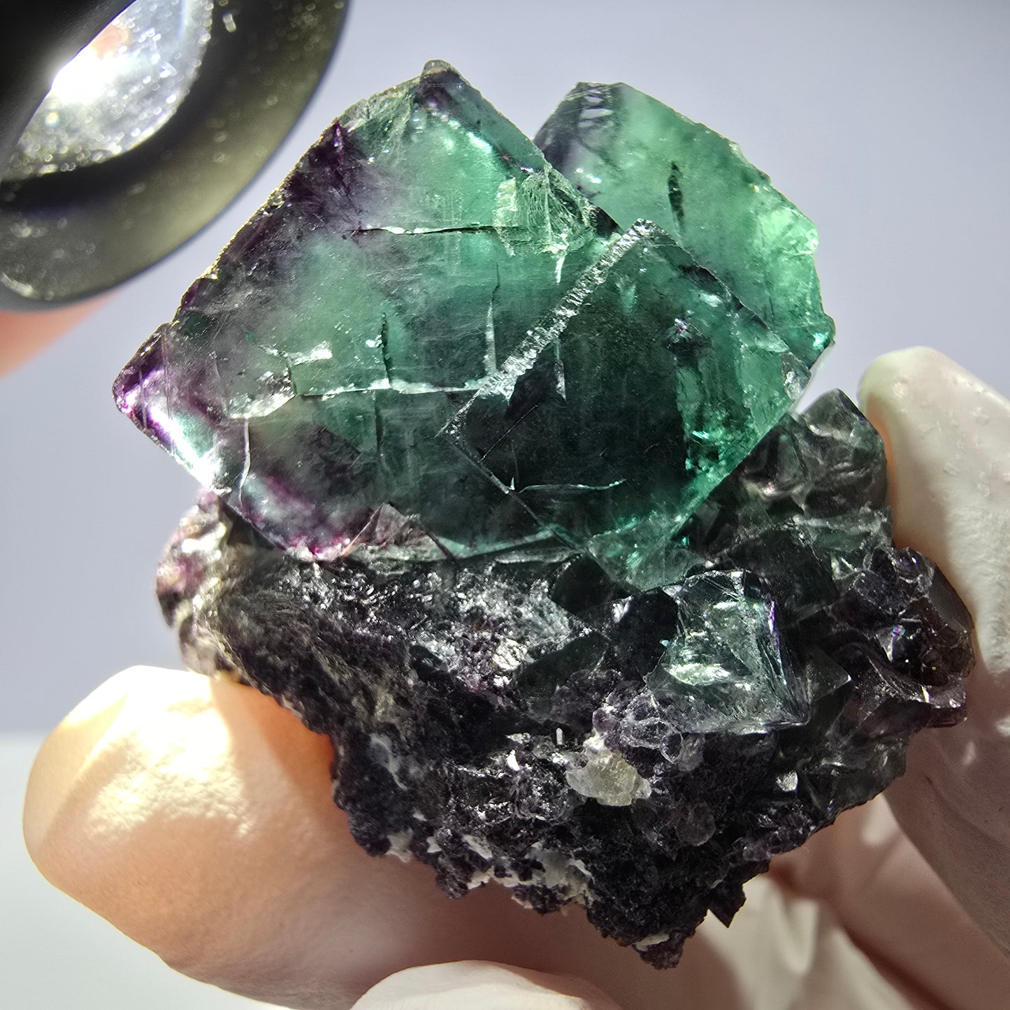 Spécimen de cube de fluorite fantôme parqueté vert violet Okorusu, Namibie 41*34*26mm