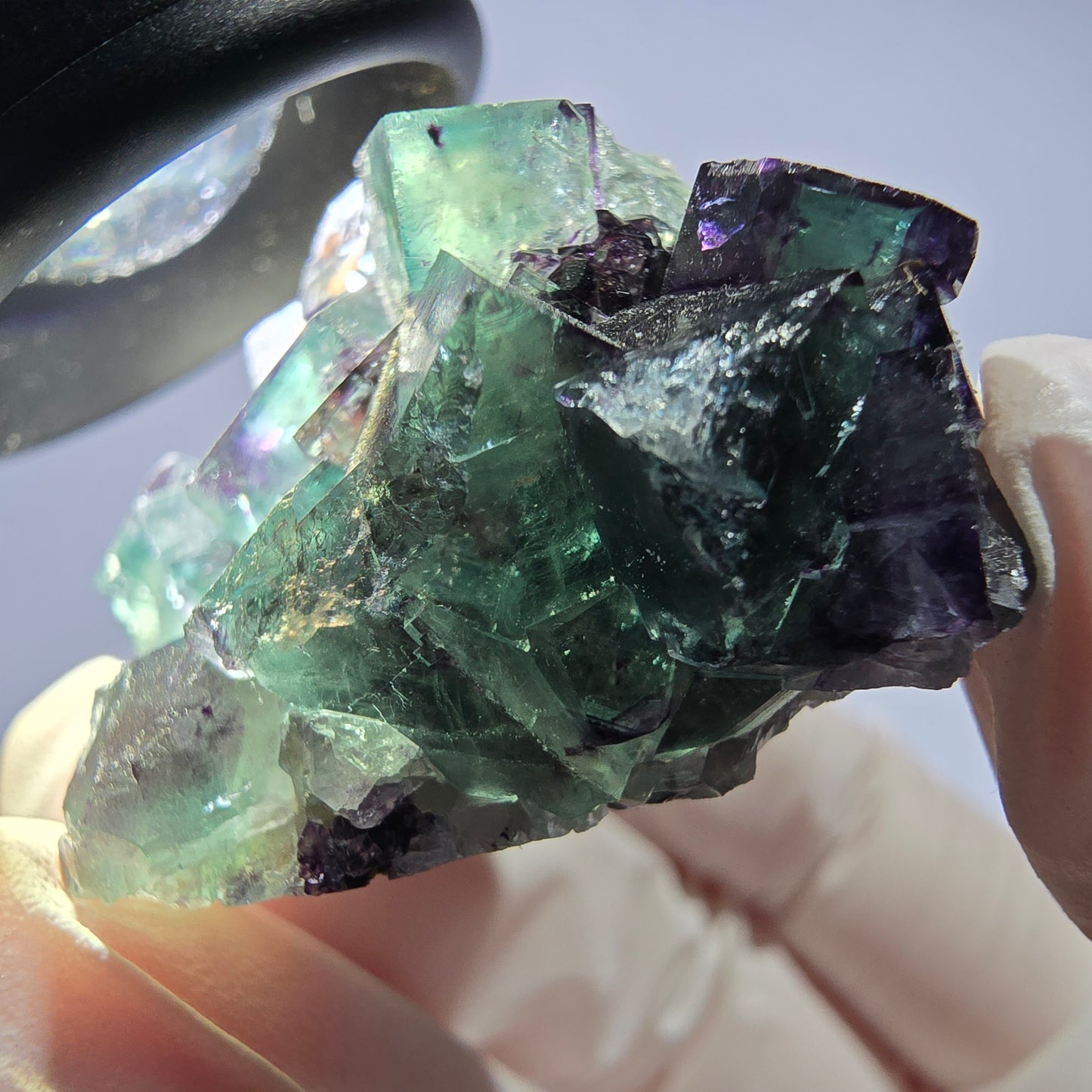 Spécimen de cube de fluorite fantôme parqueté vert violet Okorusu, Namibie 51*31*22mm