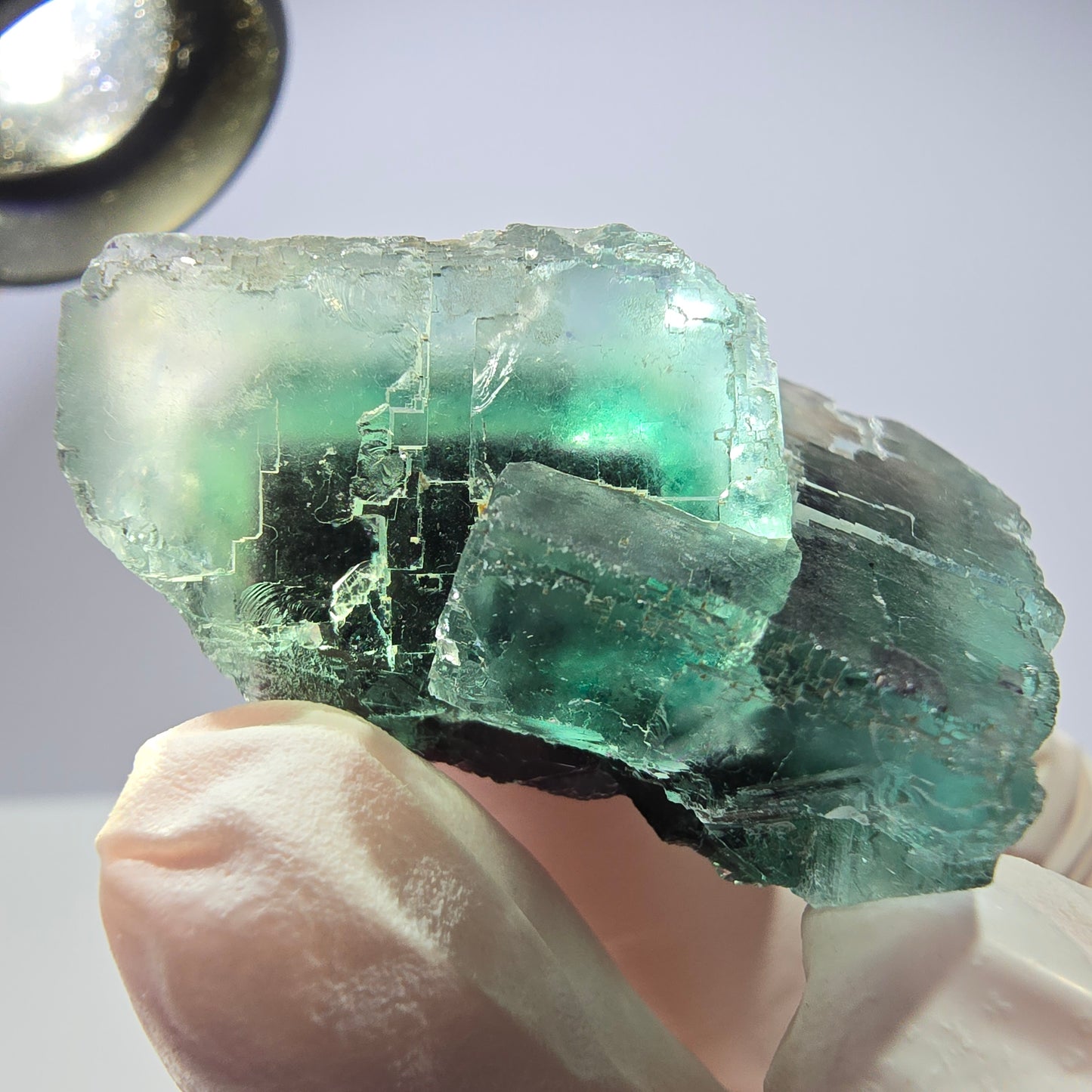 Spécimen de cube de fluorite fantôme parqueté vert violet Okorusu, Namibie 40*29*21mm