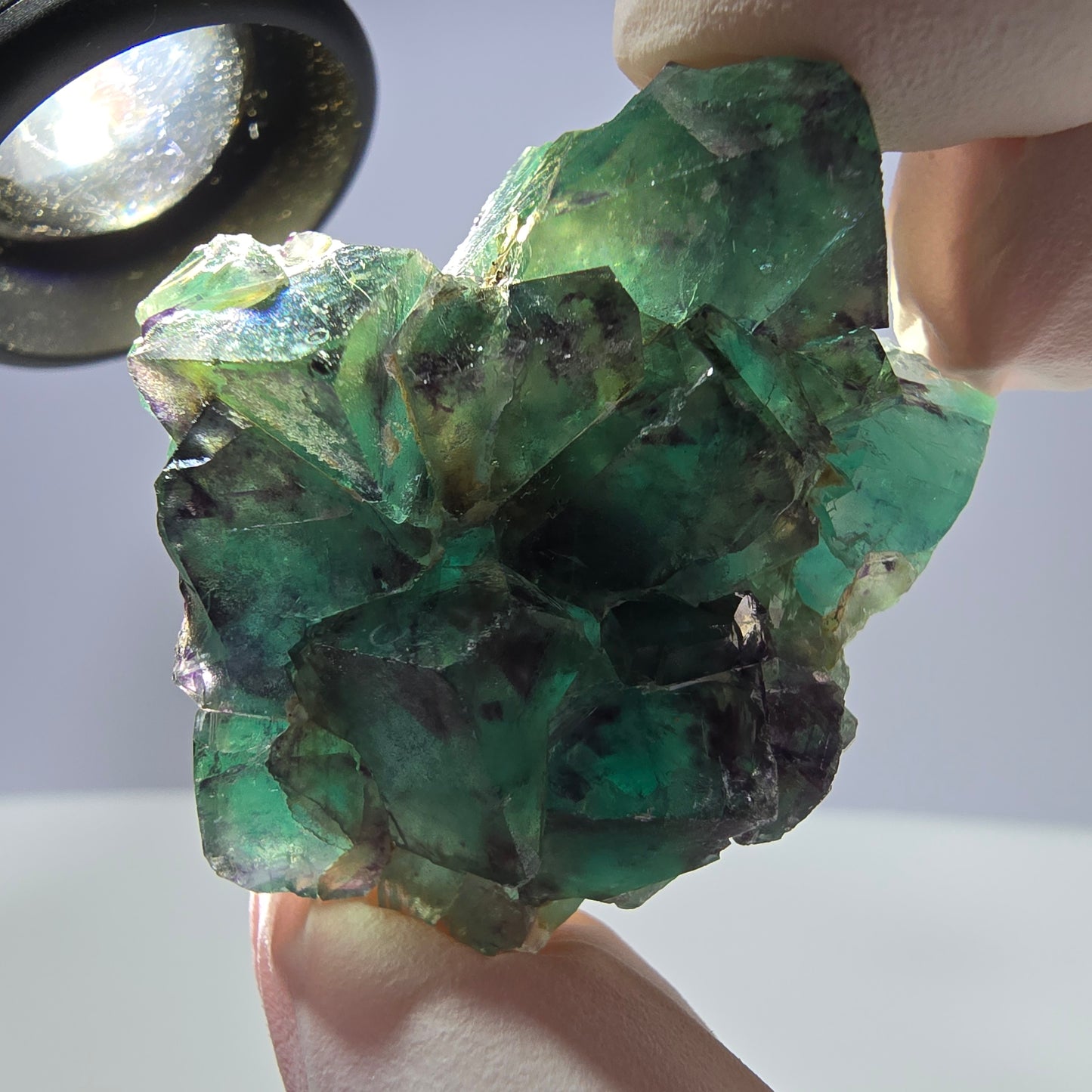 Spécimen de cube de fluorite fantôme parqueté vert violet Okorusu, Namibie 42*33*14 mm