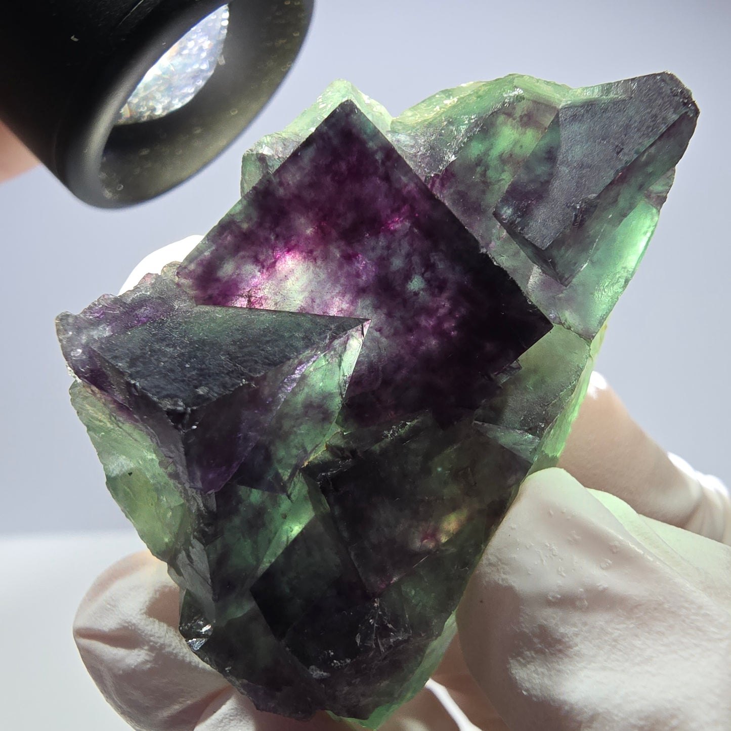 Spécimen de cube de fluorite fantôme parqueté vert violet Okorusu, Namibie 48*26*26mm