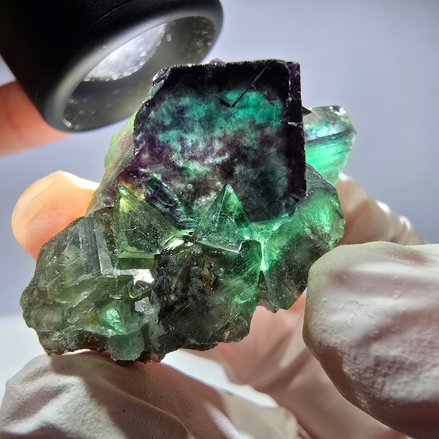 Spécimen de cube de fluorite fantôme parqueté vert violet Okorusu, Namibie 42*24*23mm