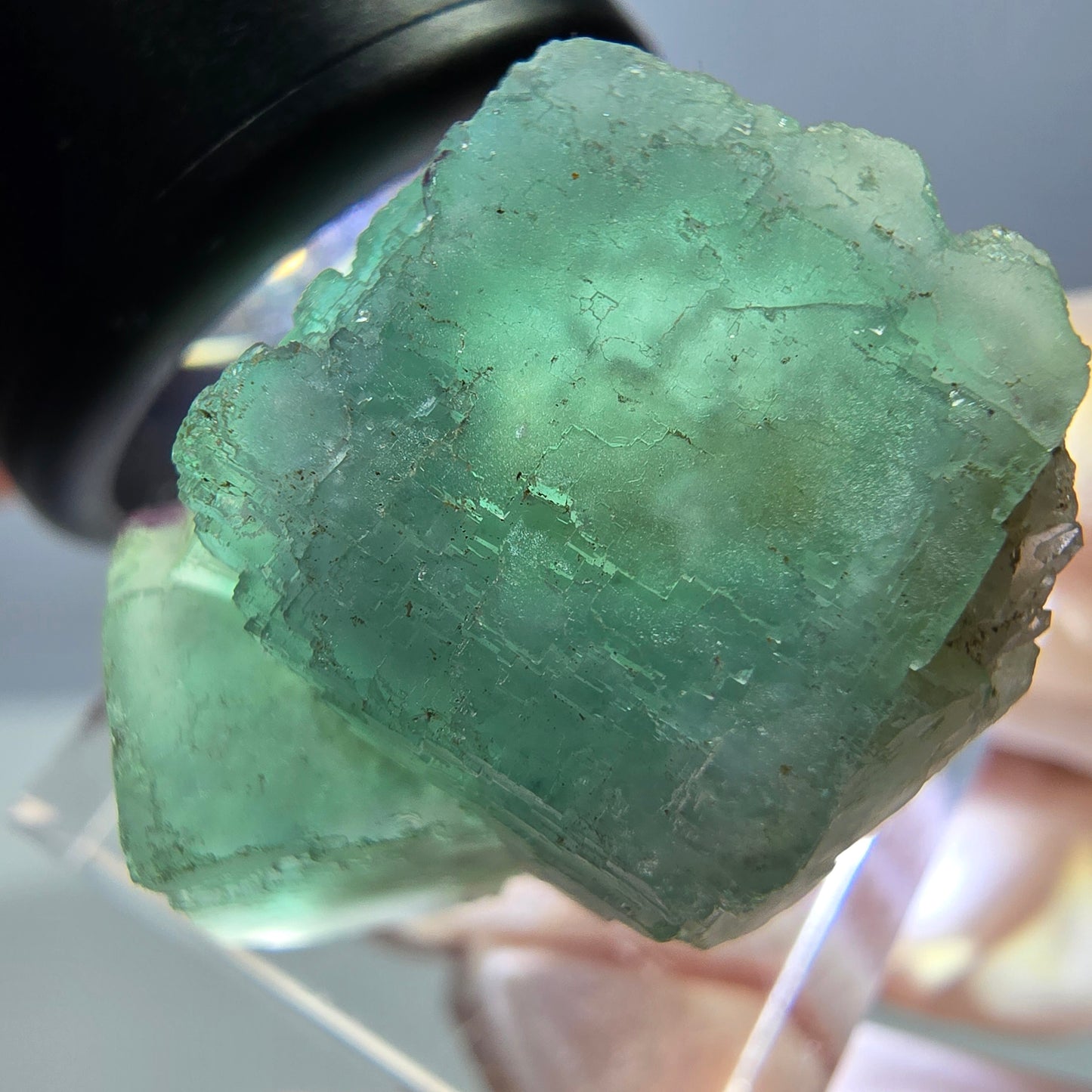 Phantom Fluorit Würfel Stufe, grün parkettiert Okorusu, Namibia 23*23*22mm