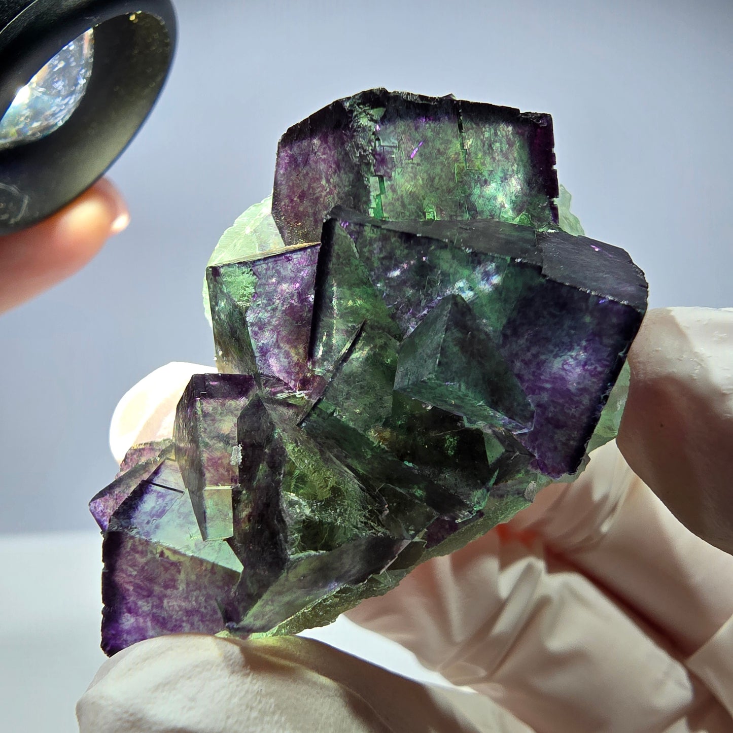 Spécimen de cube de fluorite fantôme, parqueté, zonal Okorusu, Namibie 51 x 30 x 24 mm