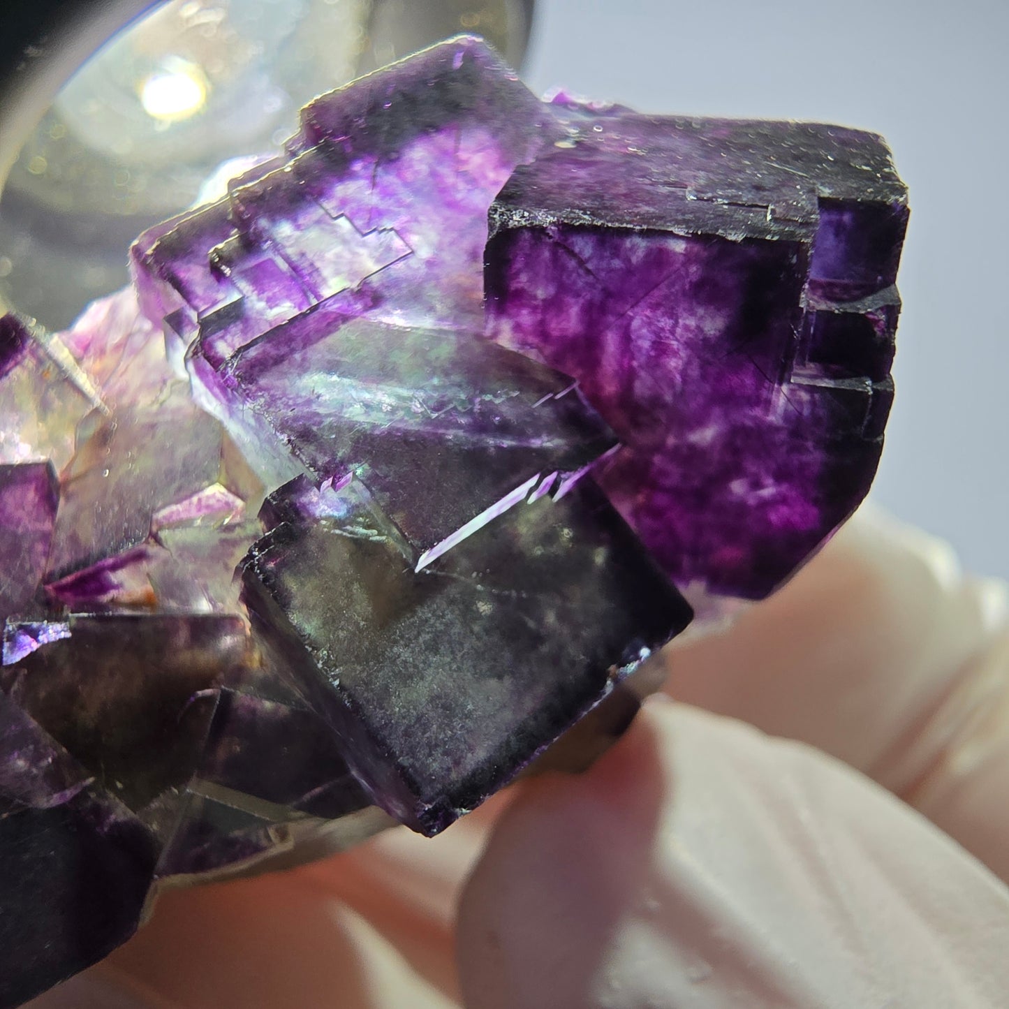Spécimen de cube de fluorite fantôme parqueté vert violet Okorusu, Namibie 40*26*21mm