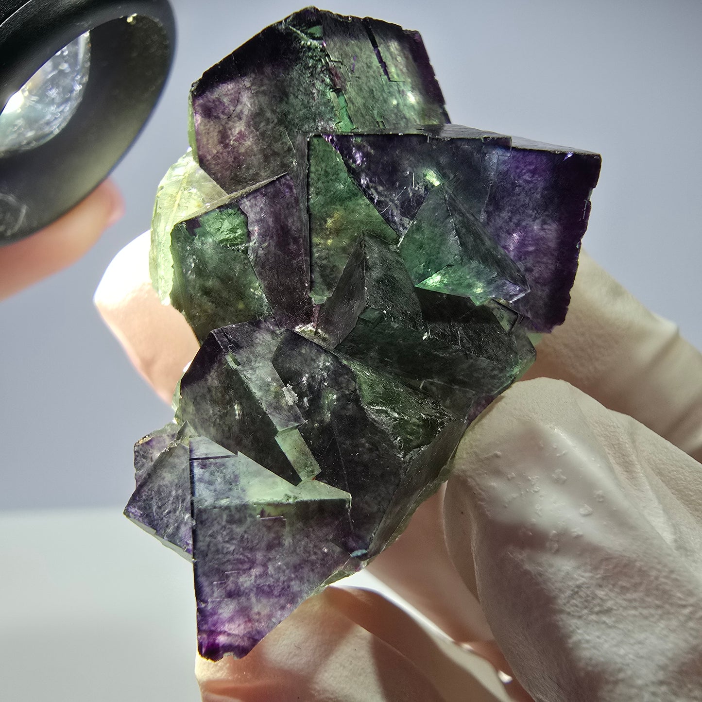 Spécimen de cube de fluorite fantôme, parqueté, zonal Okorusu, Namibie 51 x 30 x 24 mm