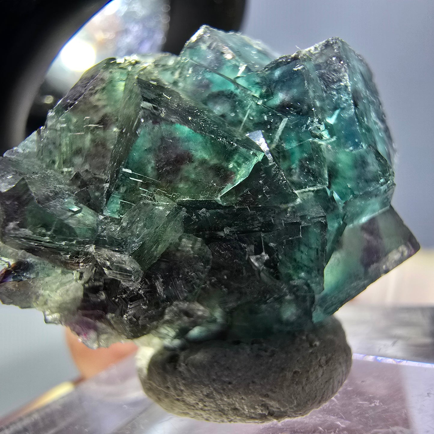 Spécimen de cube de fluorite fantôme, parqueté vert violet Okorusu, Namibie 27*24*17 mm