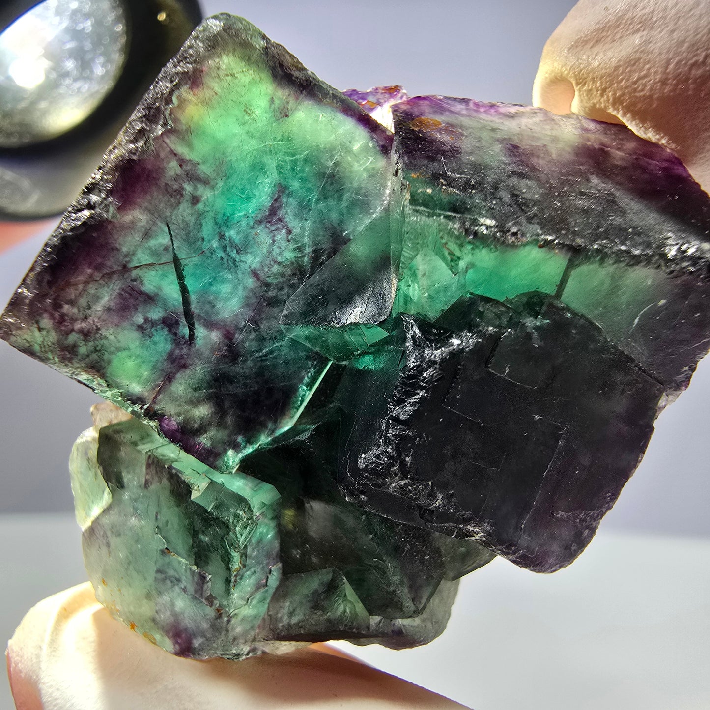 Spécimen de cube de fluorite fantôme parqueté vert violet Okorusu, Namibie 44*35*21mm
