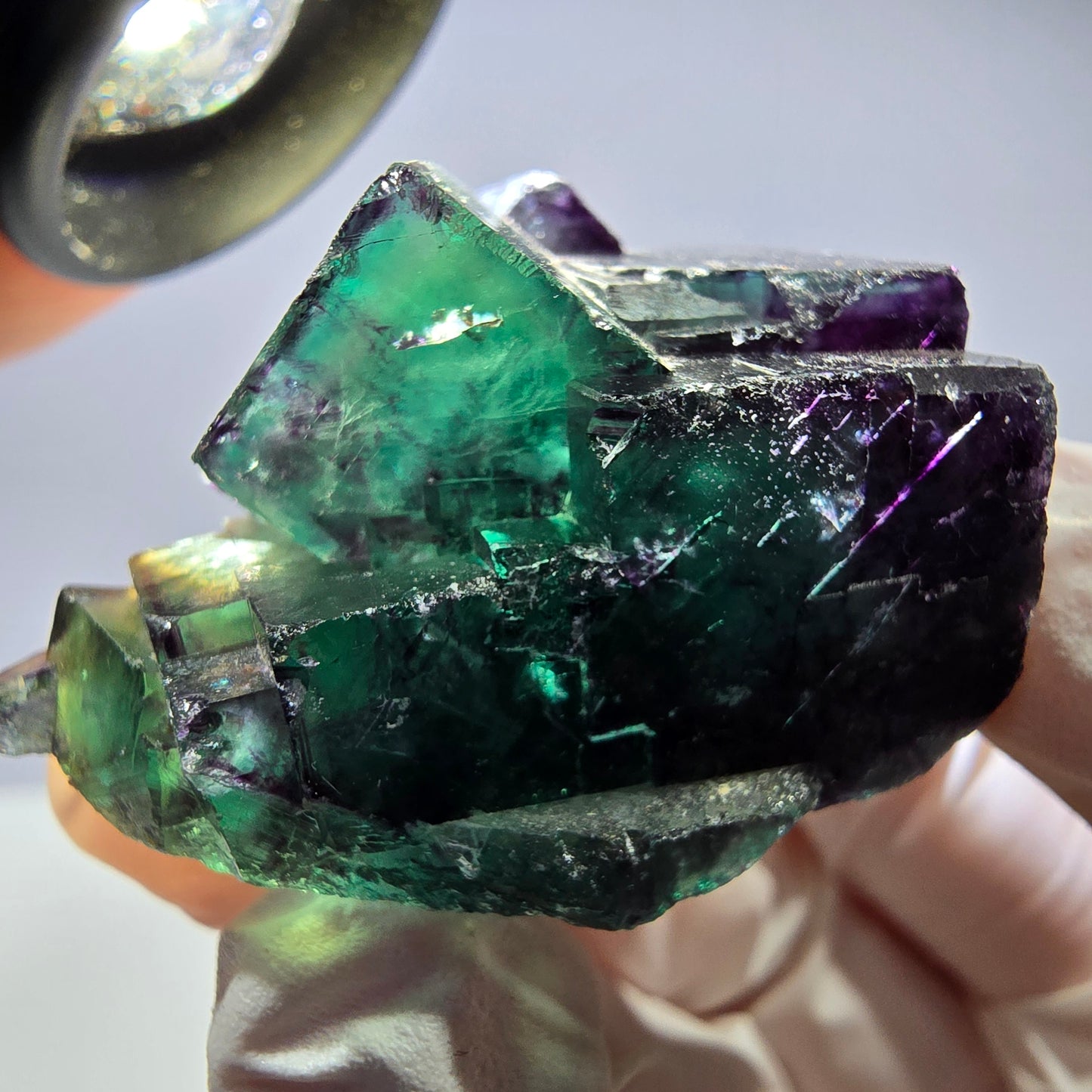 Spécimen de cube de fluorite fantôme parqueté vert violet Okorusu, Namibie 42*38*25mm