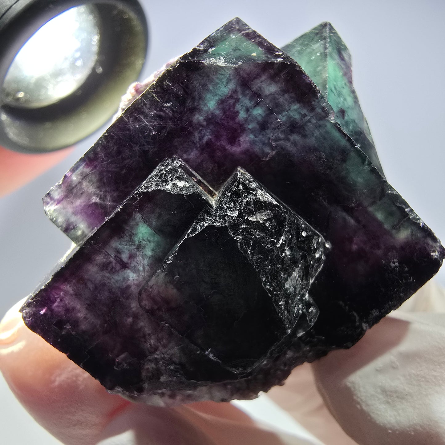 Spécimen de cube de fluorite fantôme parqueté vert violet Okorusu, Namibie 45*34*22mm