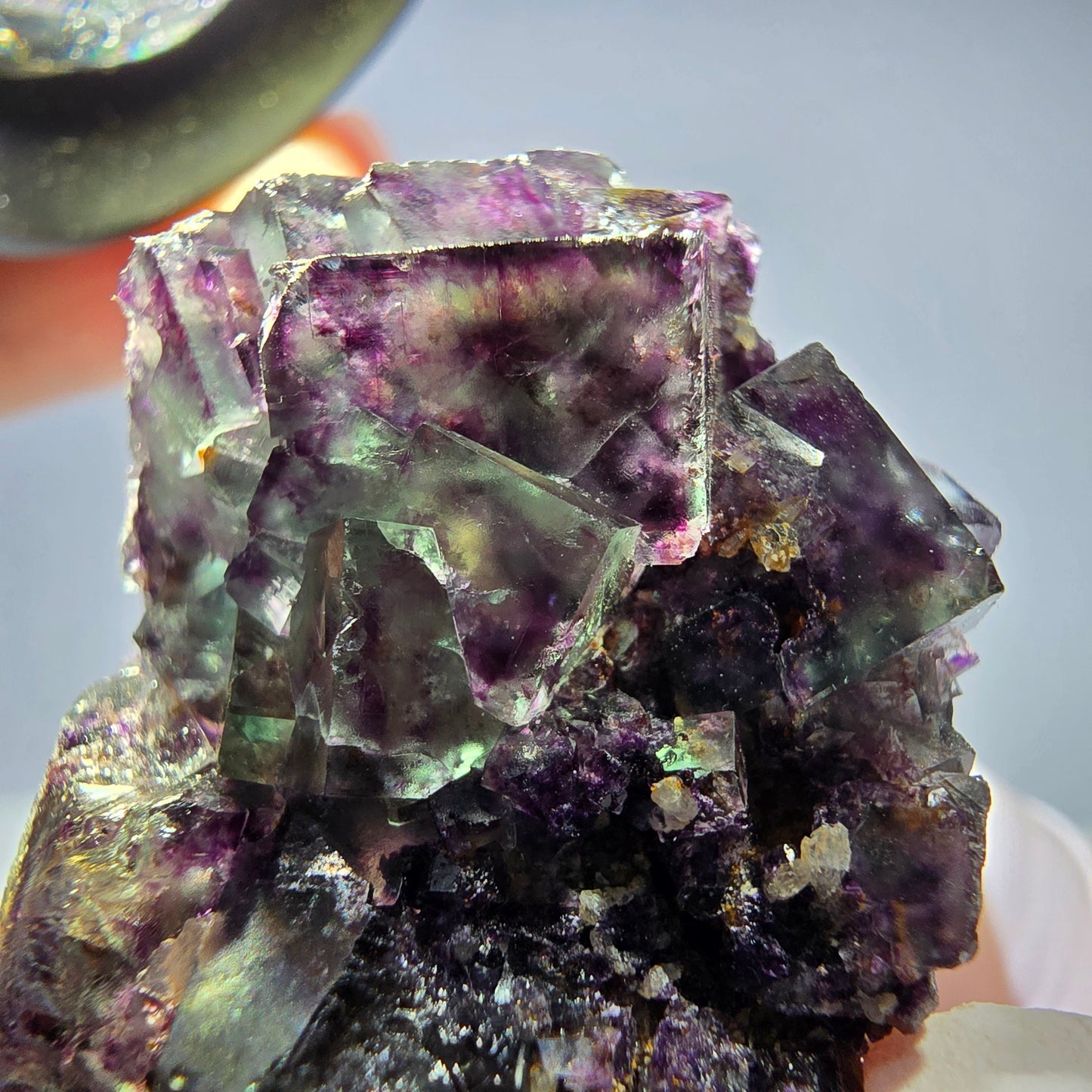Spécimen de cube de fluorite fantôme parqueté vert violet Okorusu, Namibie 49*27*17mm