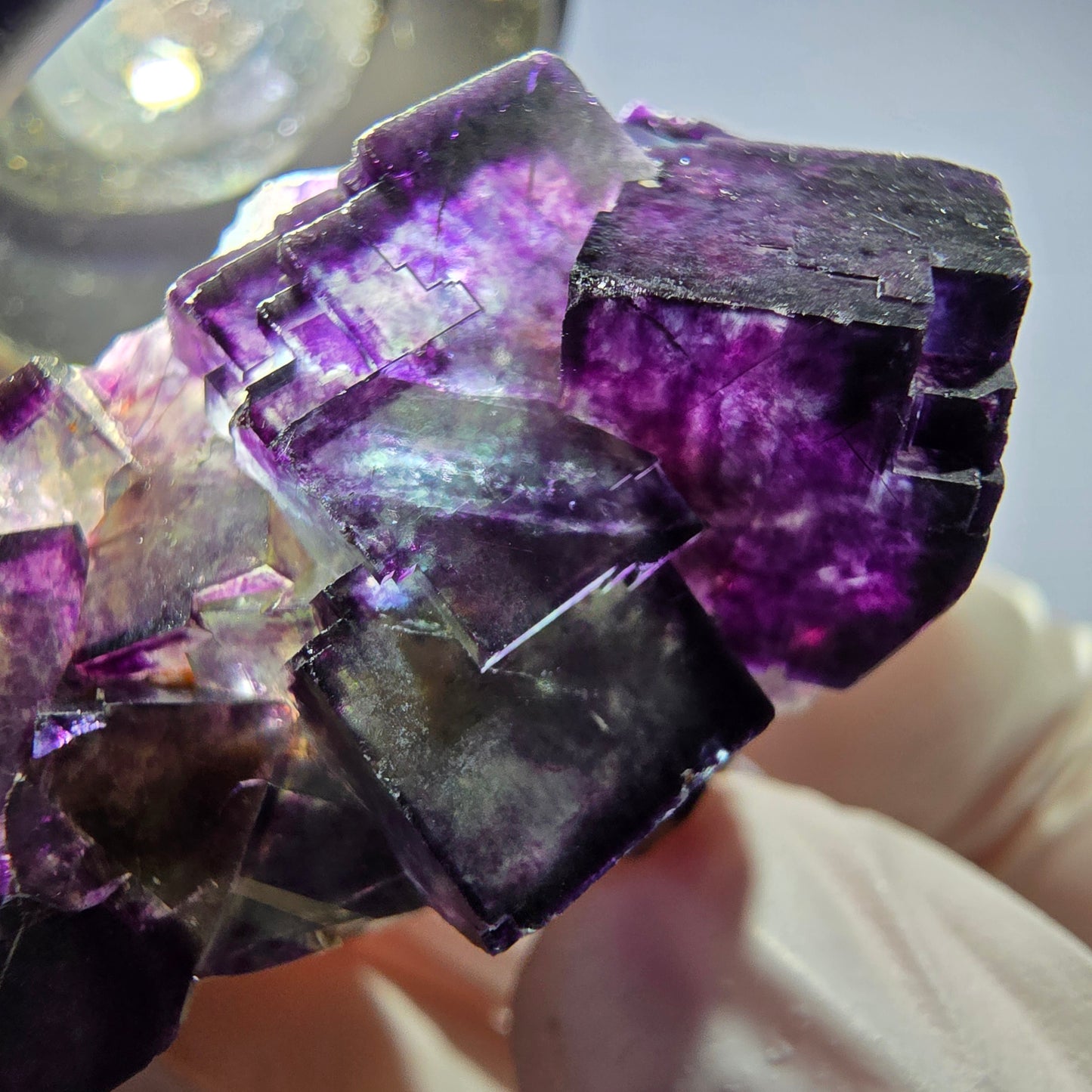 Spécimen de cube de fluorite fantôme parqueté vert violet Okorusu, Namibie 40*26*21mm
