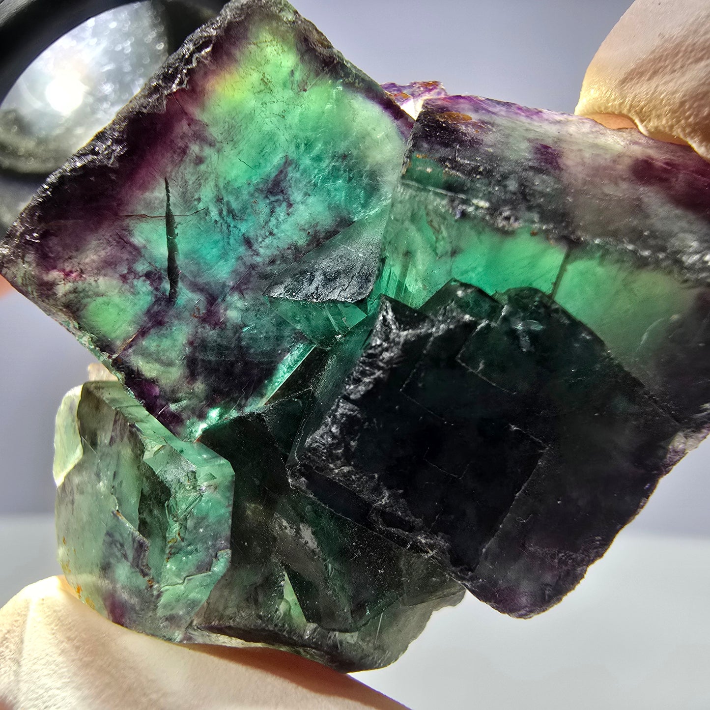 Spécimen de cube de fluorite fantôme parqueté vert violet Okorusu, Namibie 44*35*21mm