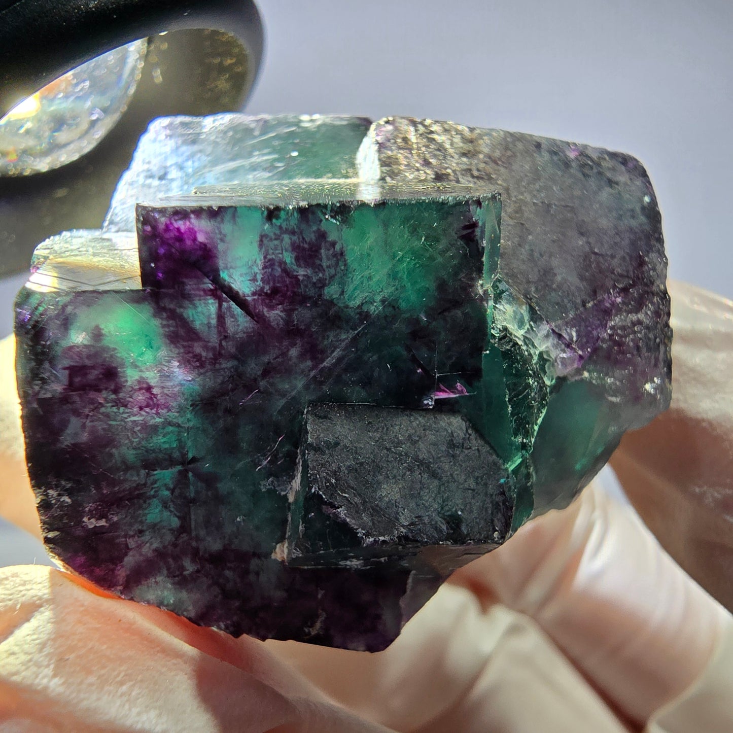 Spécimen de cube de fluorite fantôme parqueté vert violet Okorusu, Namibie 42*38*25mm
