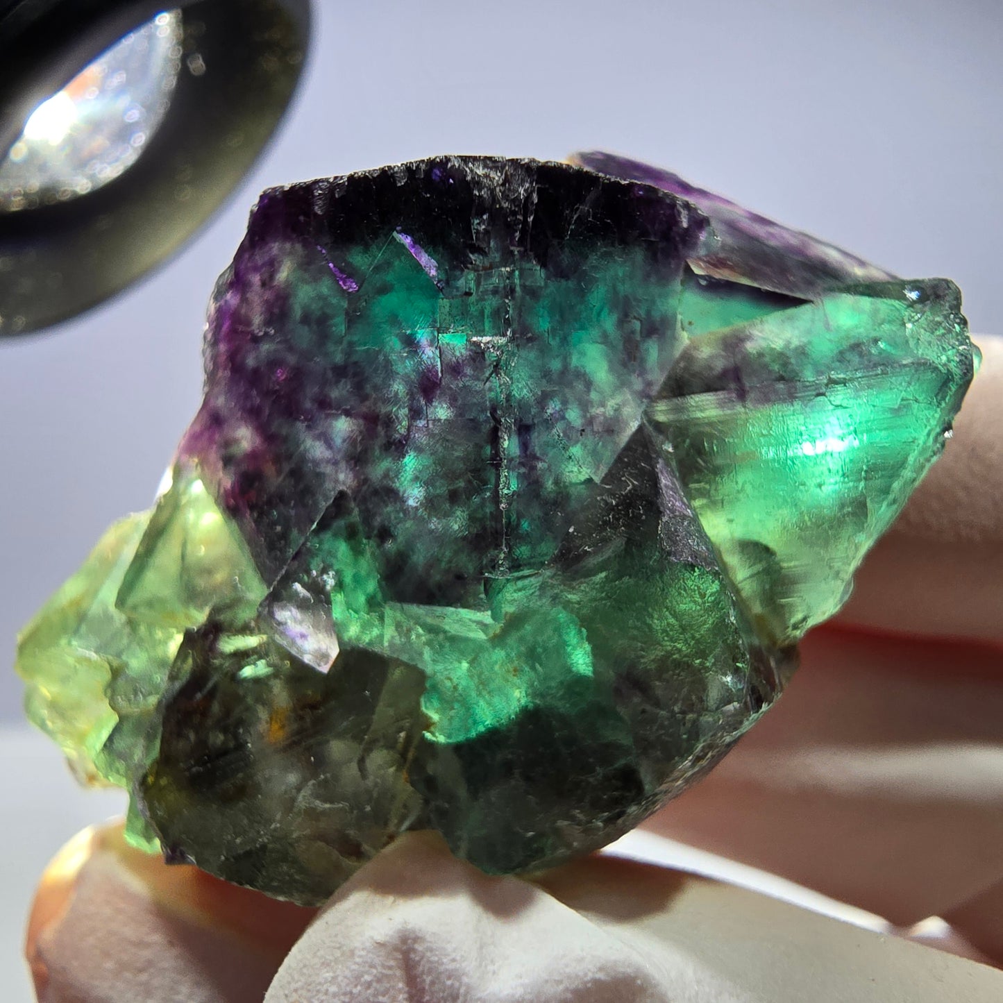 Spécimen de cube de fluorite fantôme parqueté vert violet Okorusu, Namibie 42*24*23mm