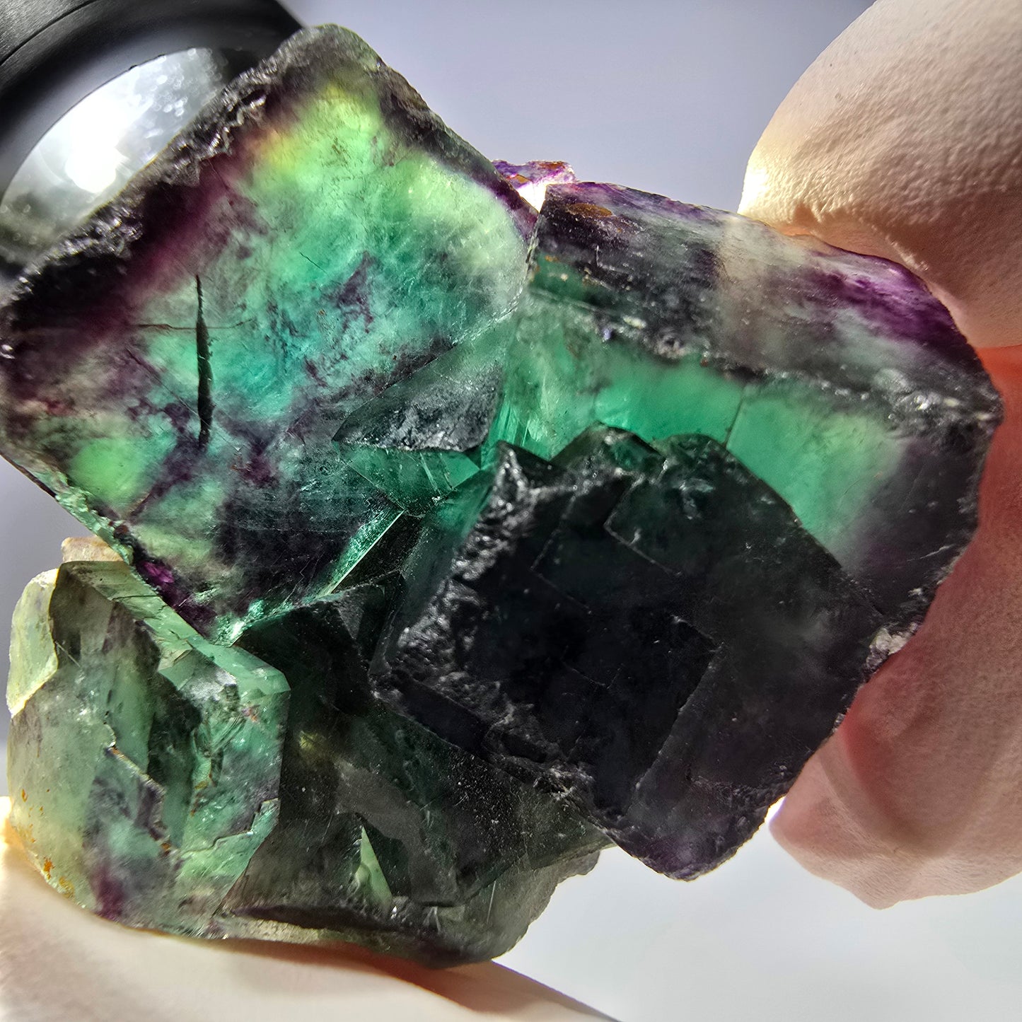 Spécimen de cube de fluorite fantôme parqueté vert violet Okorusu, Namibie 44*35*21mm