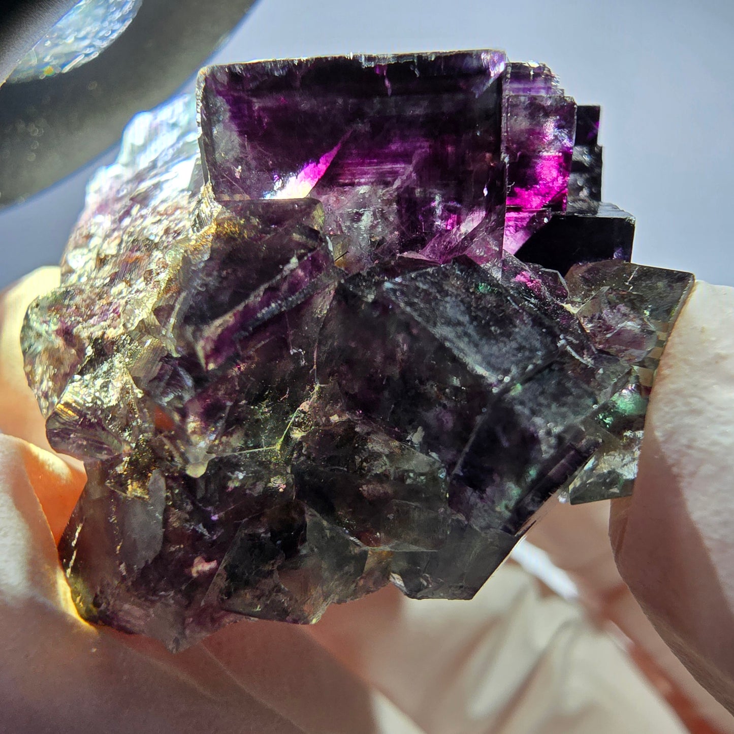Spécimen de cube de fluorite fantôme parqueté vert violet Okorusu, Namibie 38*36*21 mm