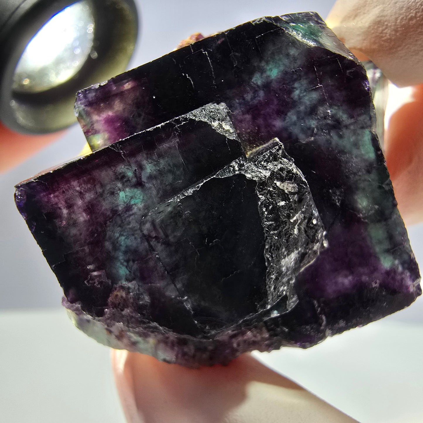 Spécimen de cube de fluorite fantôme parqueté vert violet Okorusu, Namibie 45*34*22mm