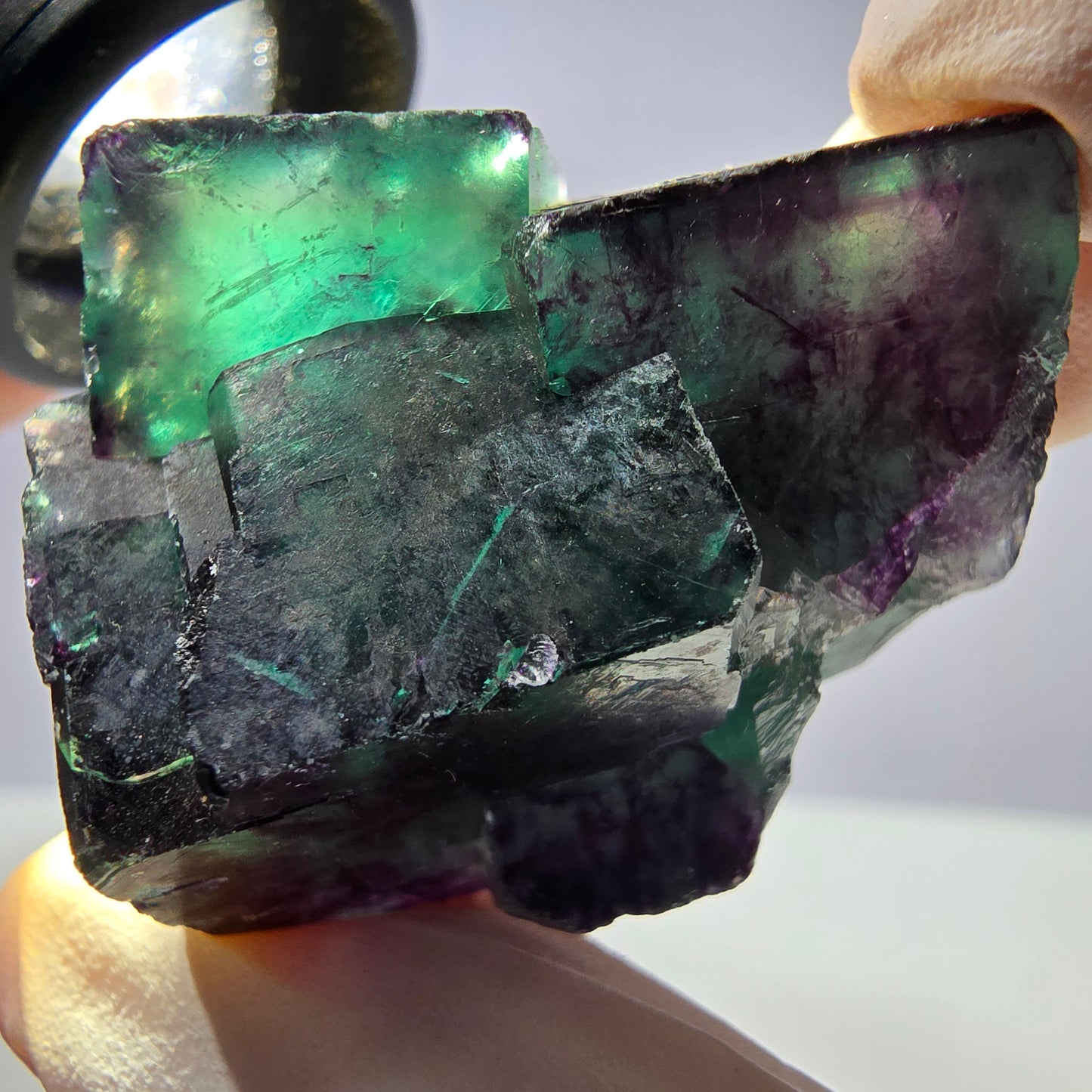 Spécimen de cube de fluorite fantôme parqueté vert violet Okorusu, Namibie 42*38*25mm
