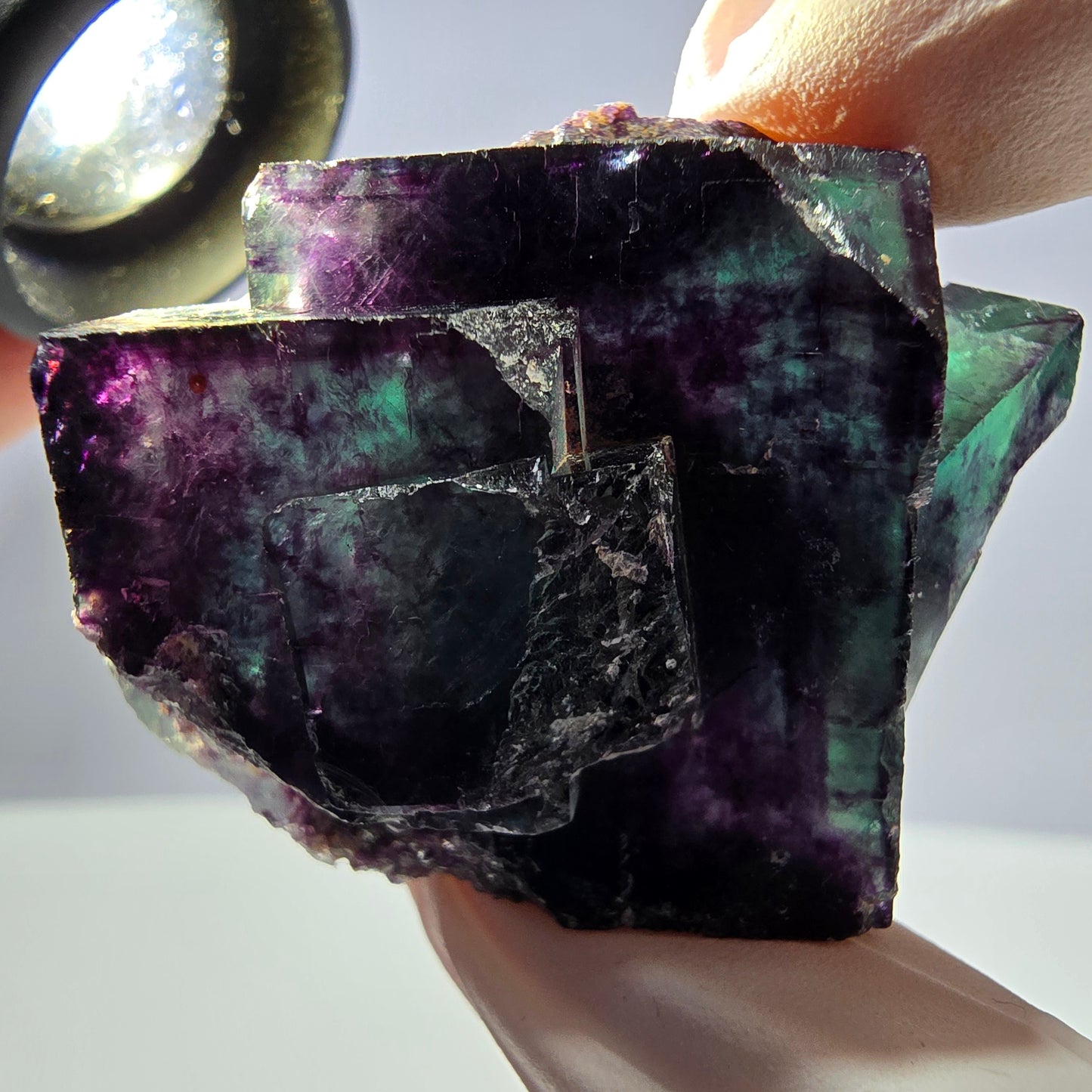 Spécimen de cube de fluorite fantôme parqueté vert violet Okorusu, Namibie 45*34*22mm