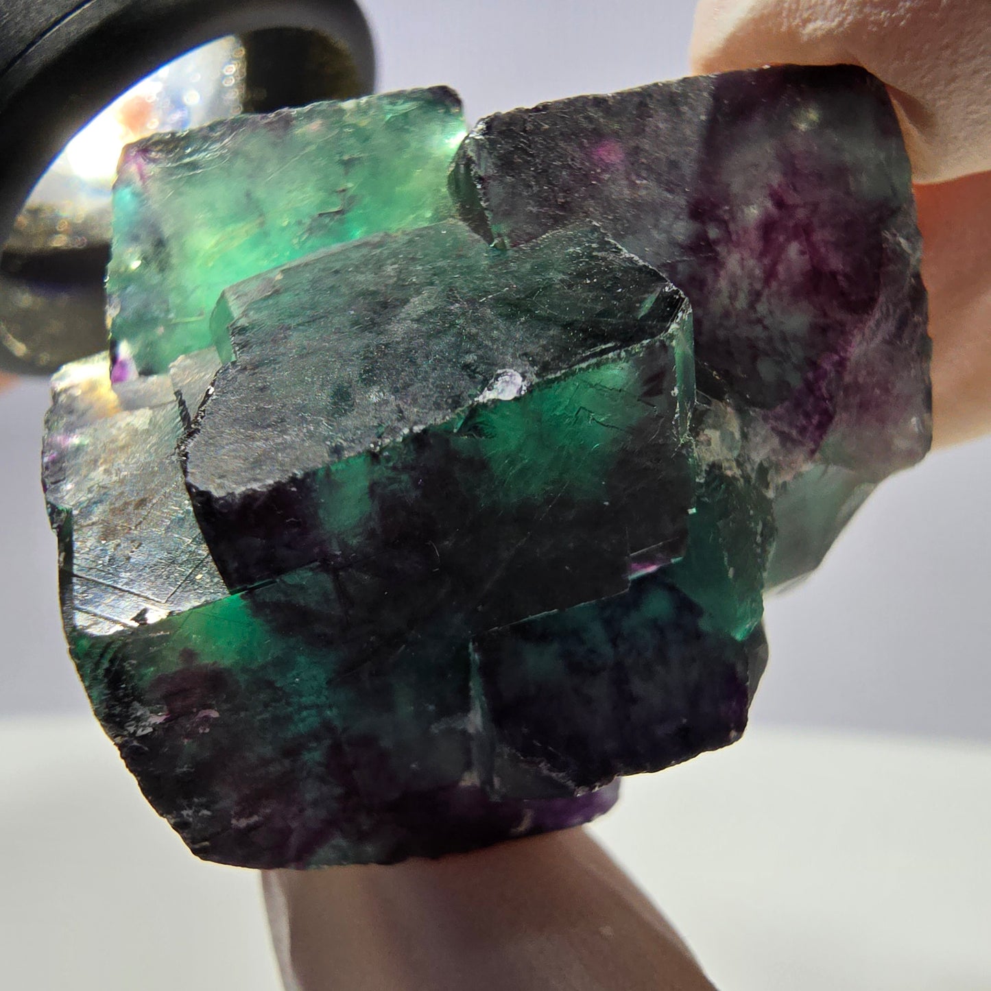 Spécimen de cube de fluorite fantôme parqueté vert violet Okorusu, Namibie 42*38*25mm