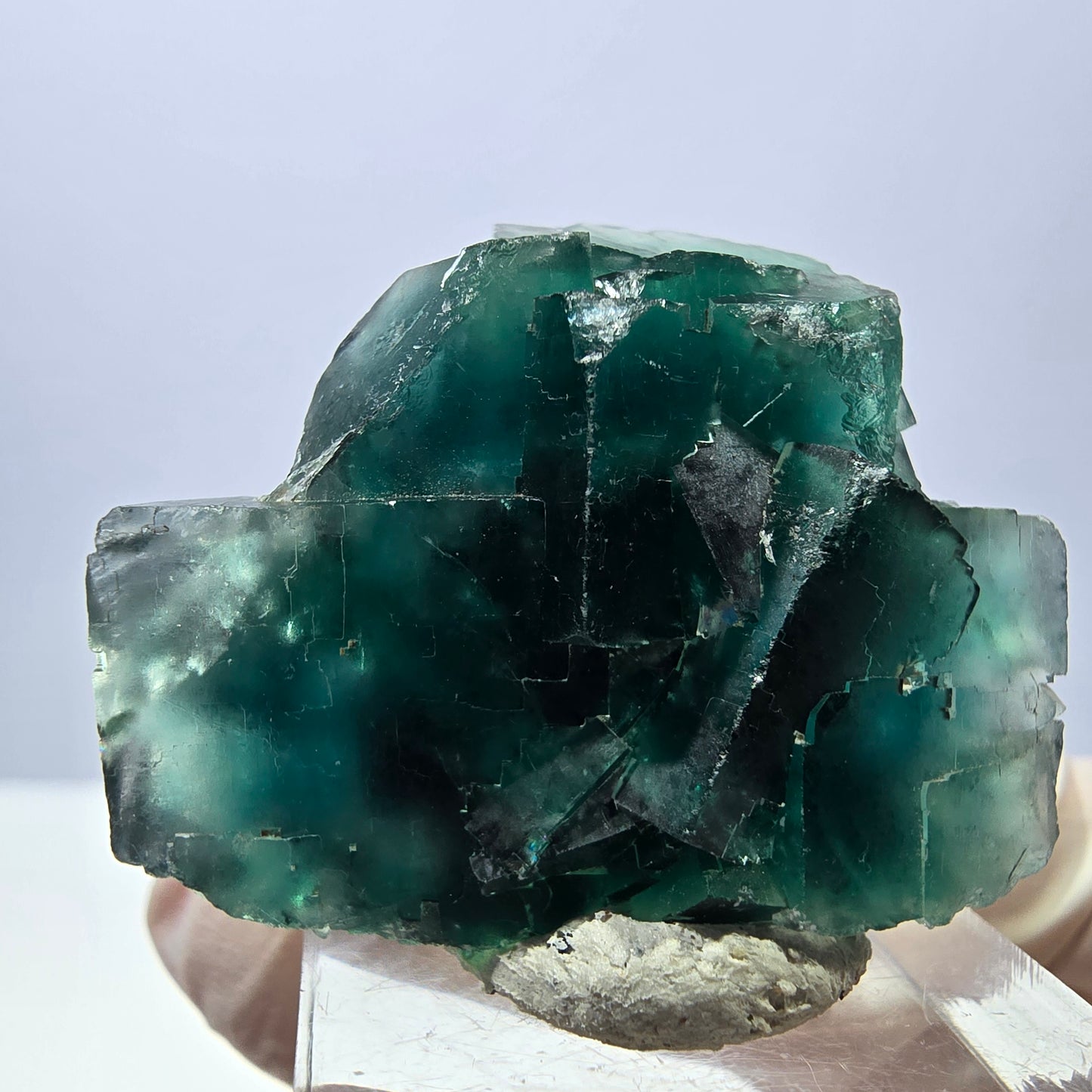 Spécimen de cube de fluorite fantôme, parquet vert Okorusu, Namibie 39 x 34 x 18 mm