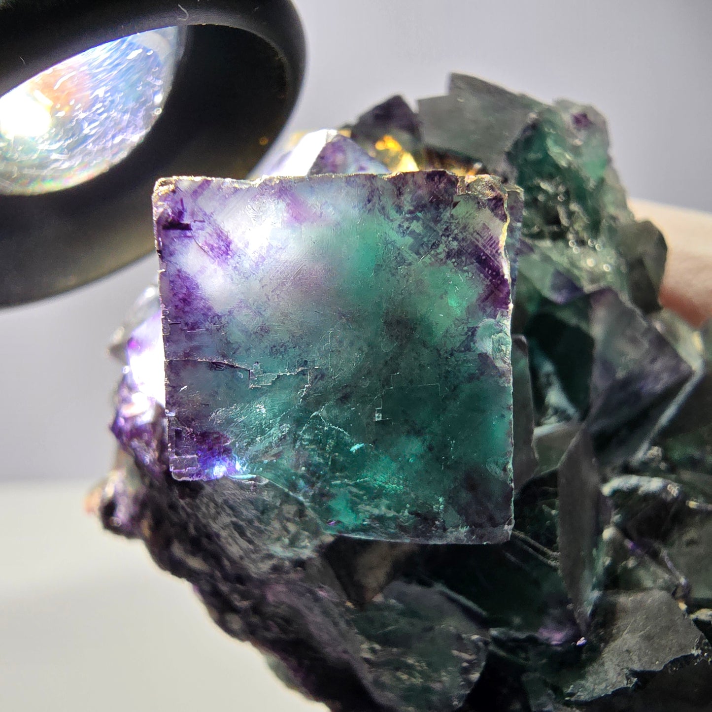 Spécimen de cube de fluorite fantôme, parqueté vert violet Okorusu, Namibie 59*46*39 mm
