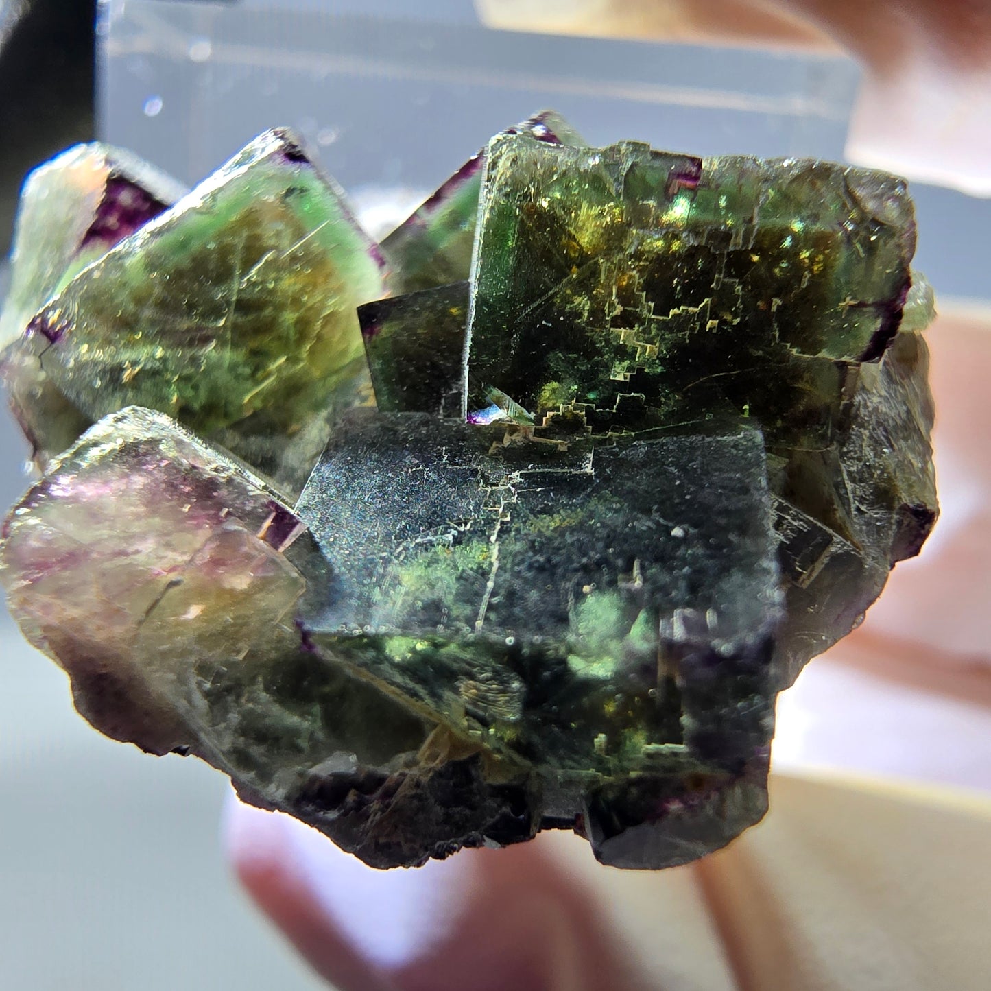 Phantom Fluorite Cube Specimen, green purple Okorusu, Namibia 30*23*17mm