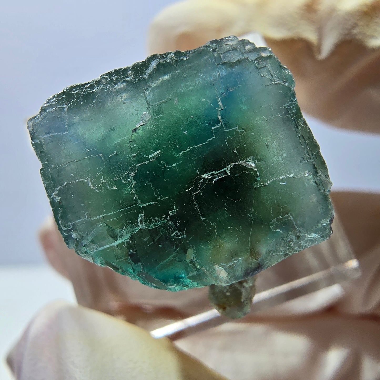 Klarer Phantom Fluorit Würfel parkettiert, grün Okorusu, Namibia 20*18*17mm
