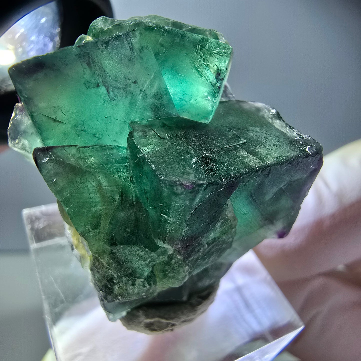 Seltene Phantom Fluorit Würfel Stufe, grün lila Okorusu, Namibia 33*24*21mm