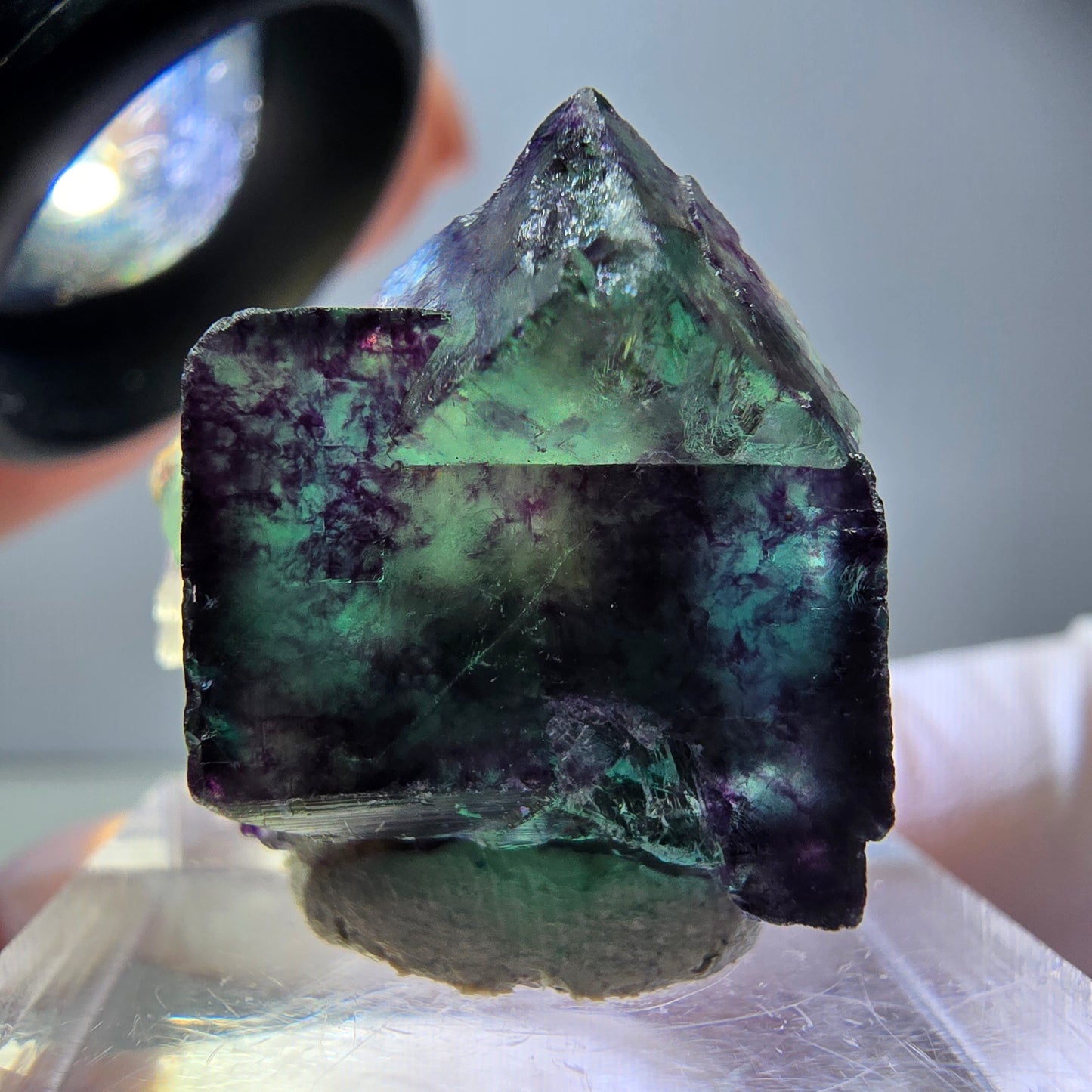 Seltene Phantom Fluorit Würfel Stufe, grün lila Okorusu, Namibia 22*22*14mm