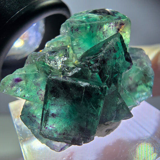 Seltene Phantom Fluorit Würfel Stufe, grün lila Okorusu, Namibia 31*23*16mm