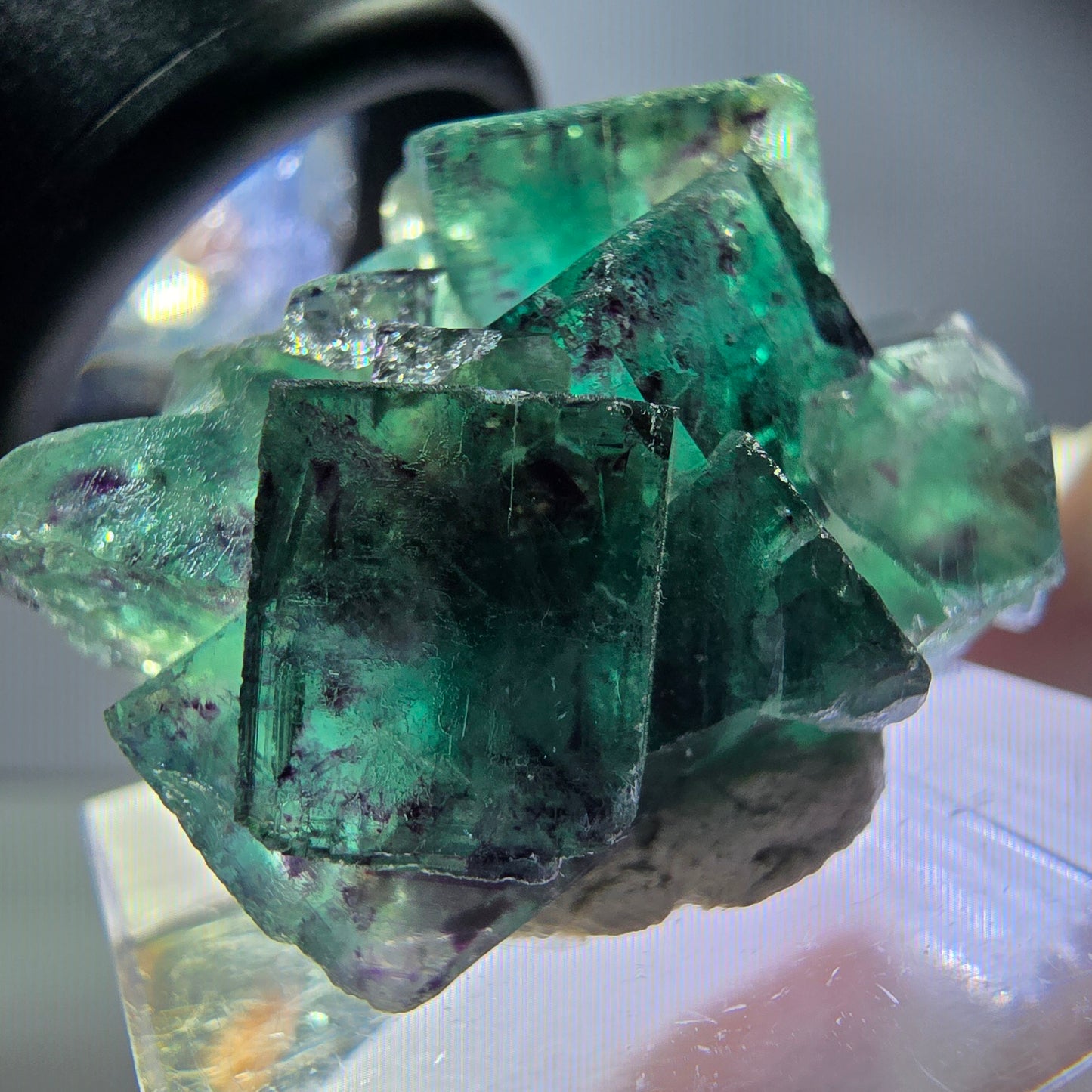 Seltene Phantom Fluorit Würfel Stufe, grün lila Okorusu, Namibia 31*23*16mm