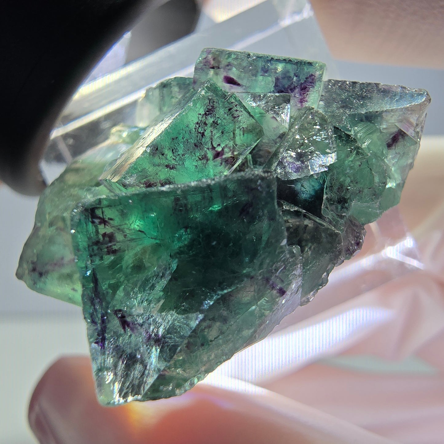Seltene Phantom Fluorit Würfel Stufe, grün lila Okorusu, Namibia 31*23*16mm