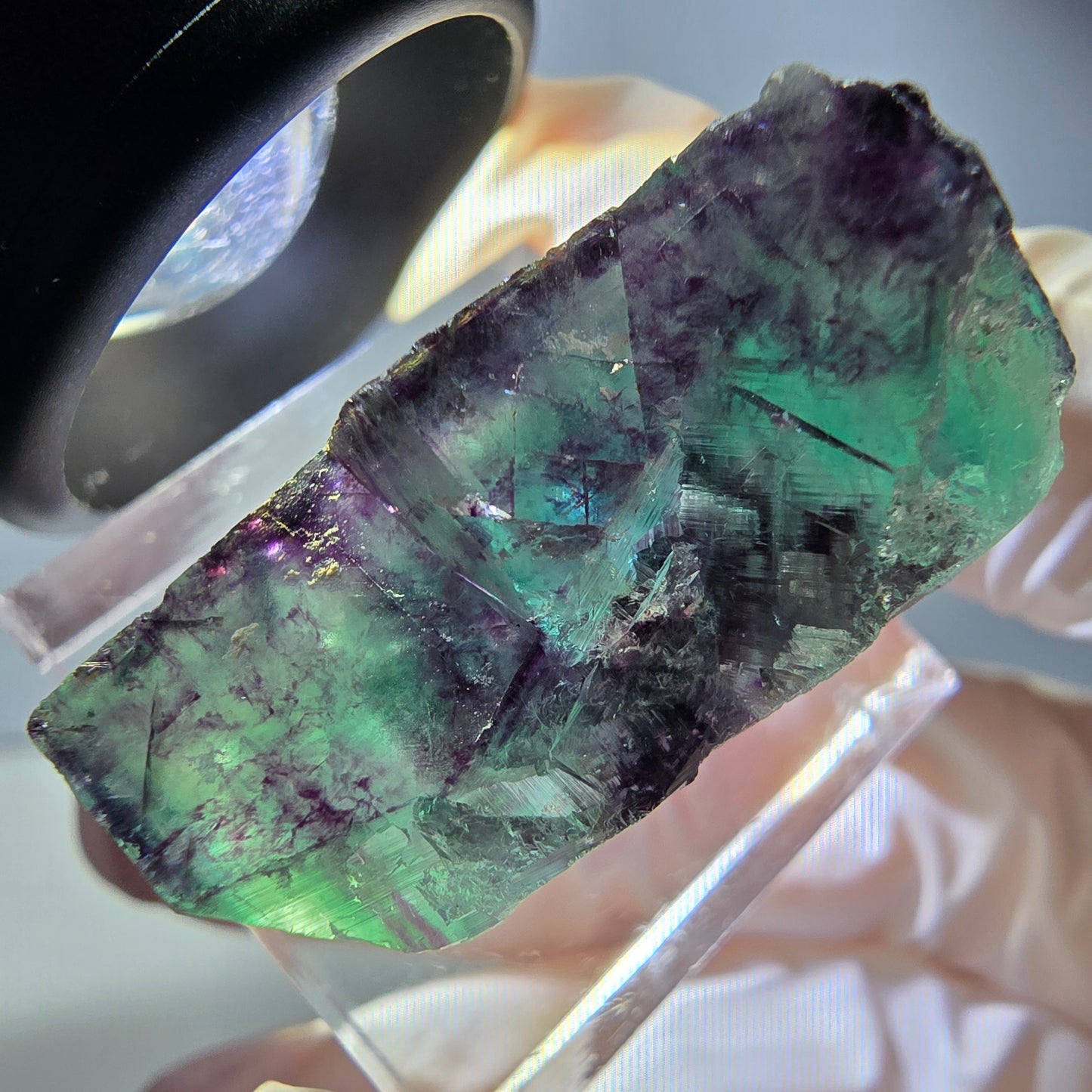 Spécimen rare de cube de fluorite fantôme, vert-violet, Okorusu, Namibie, 34 x 24 x 14 mm