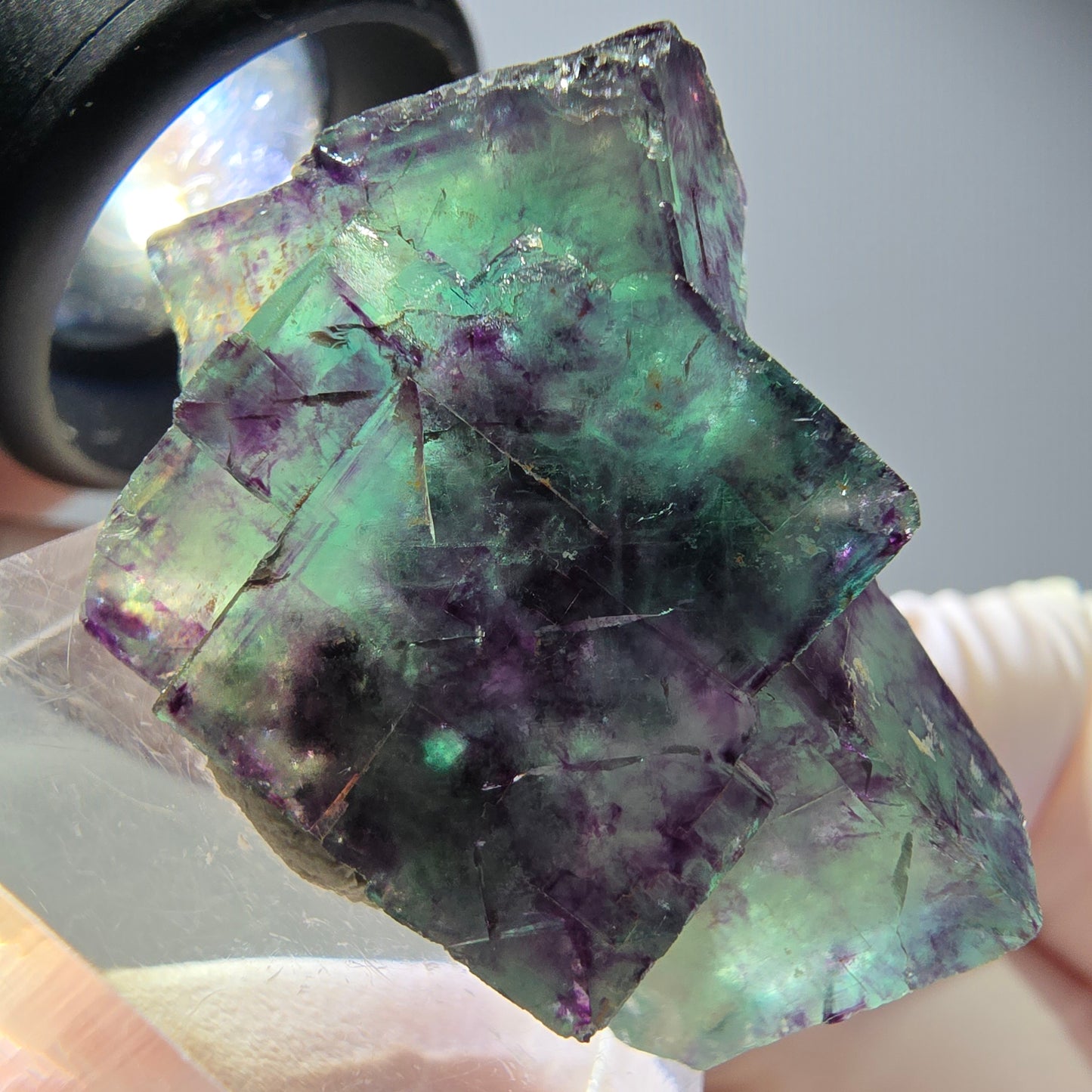 Spécimen rare de cube de fluorite fantôme, vert-violet, Okorusu, Namibie, 34 x 24 x 14 mm