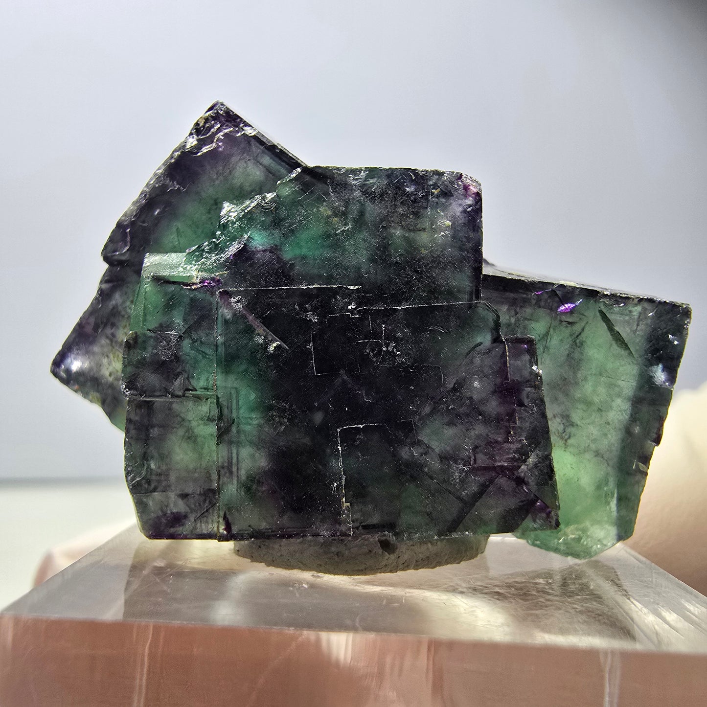 Spécimen rare de cube de fluorite fantôme, vert-violet, Okorusu, Namibie, 34 x 24 x 14 mm