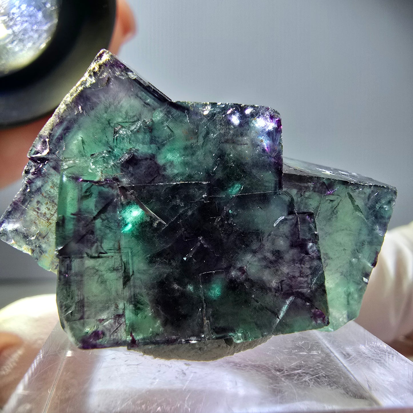 Spécimen rare de cube de fluorite fantôme, vert-violet, Okorusu, Namibie, 34 x 24 x 14 mm