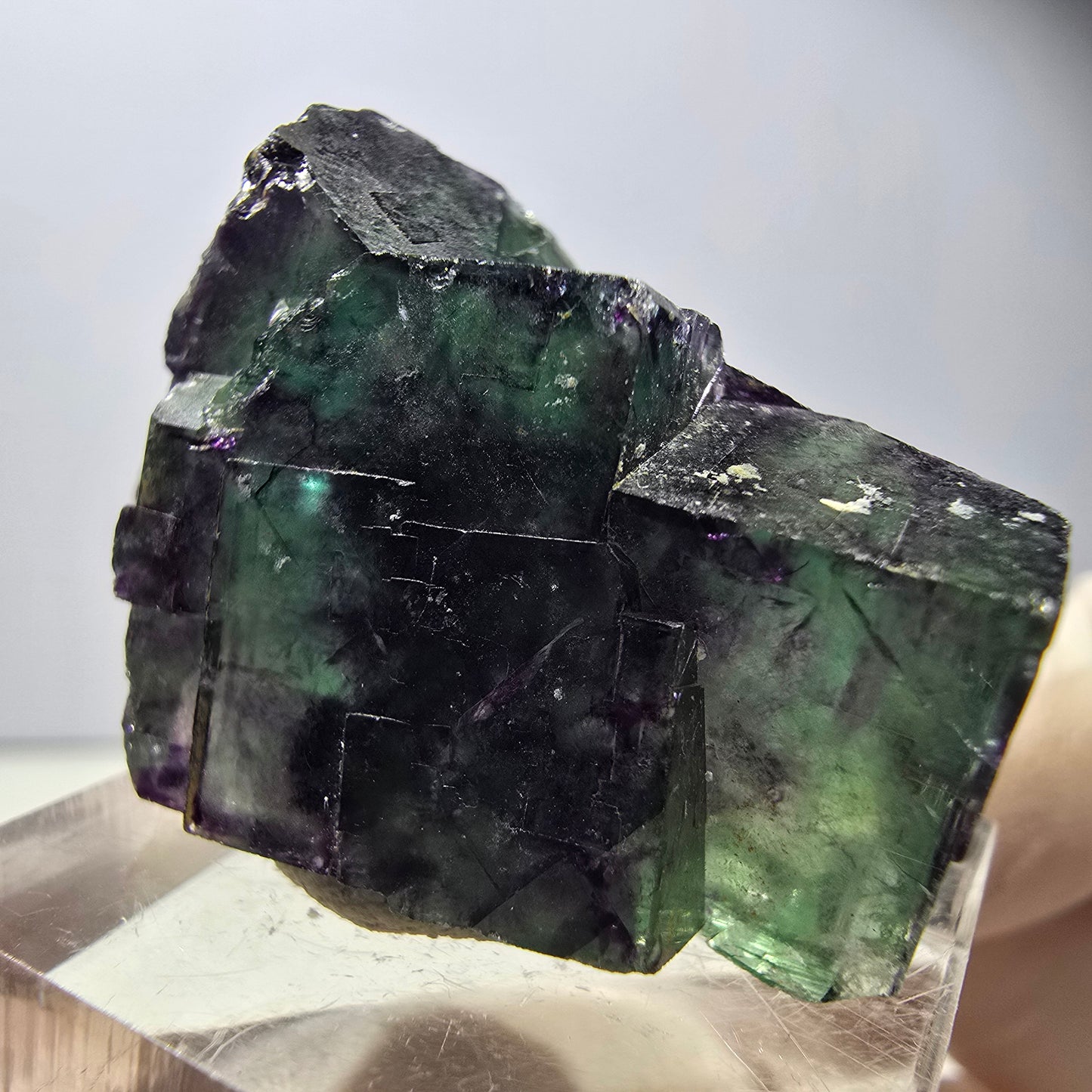 Spécimen rare de cube de fluorite fantôme, vert-violet, Okorusu, Namibie, 34 x 24 x 14 mm