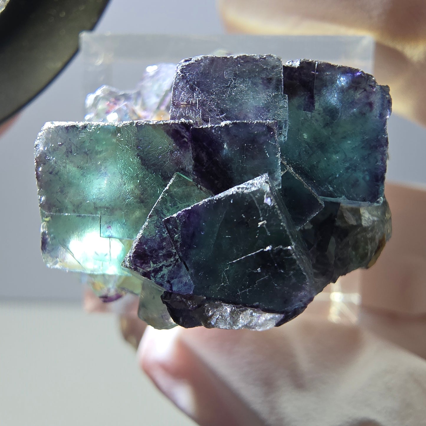 Rare spécimen de cube de fluorite fantôme, vert-violet, Okorusu, Namibie, 28 x 26 x 16 mm