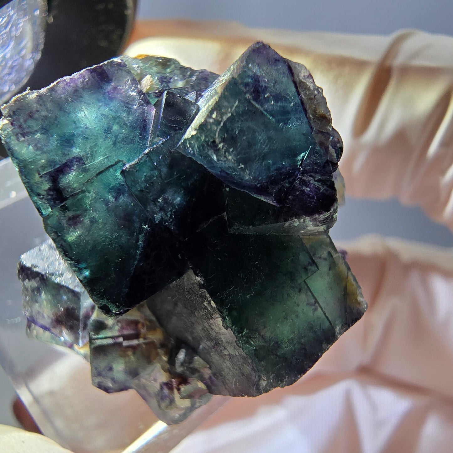 Rare spécimen de cube de fluorite fantôme, vert-violet, Okorusu, Namibie, 28 x 26 x 16 mm
