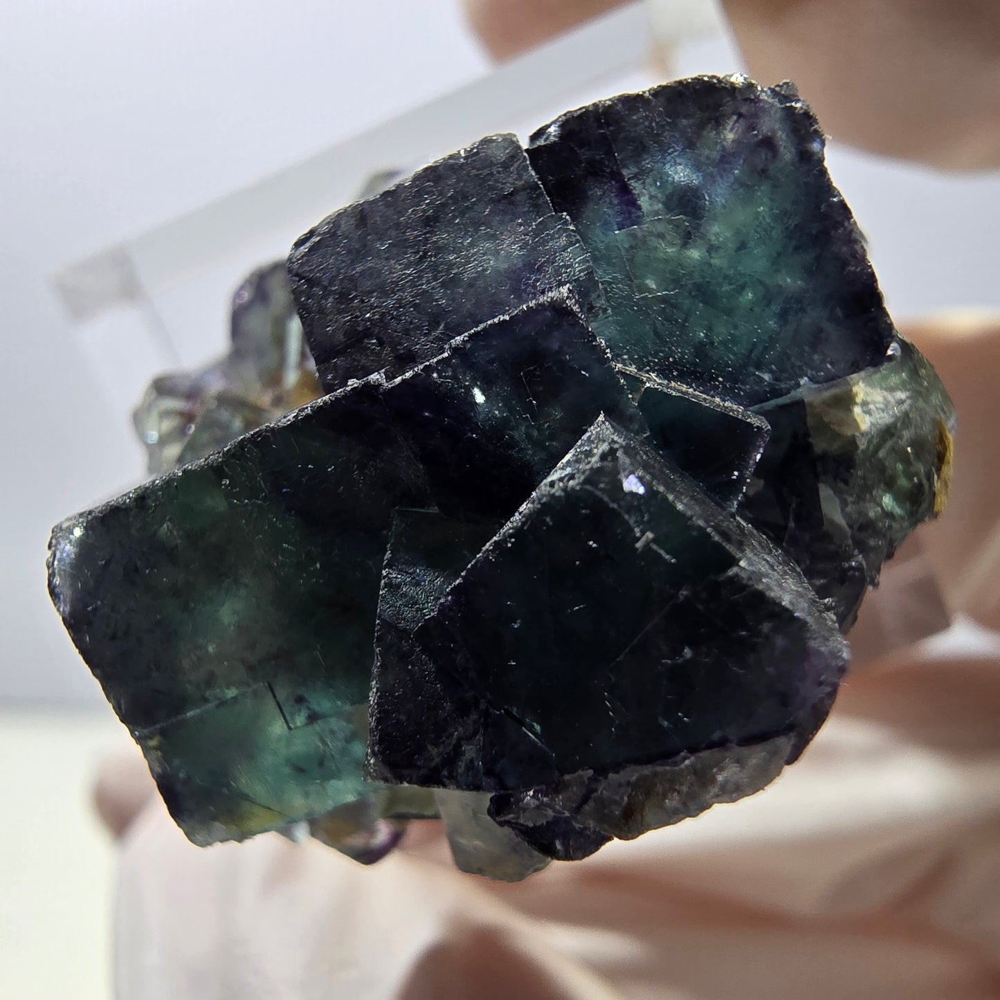 Rare spécimen de cube de fluorite fantôme, vert-violet, Okorusu, Namibie, 28 x 26 x 16 mm