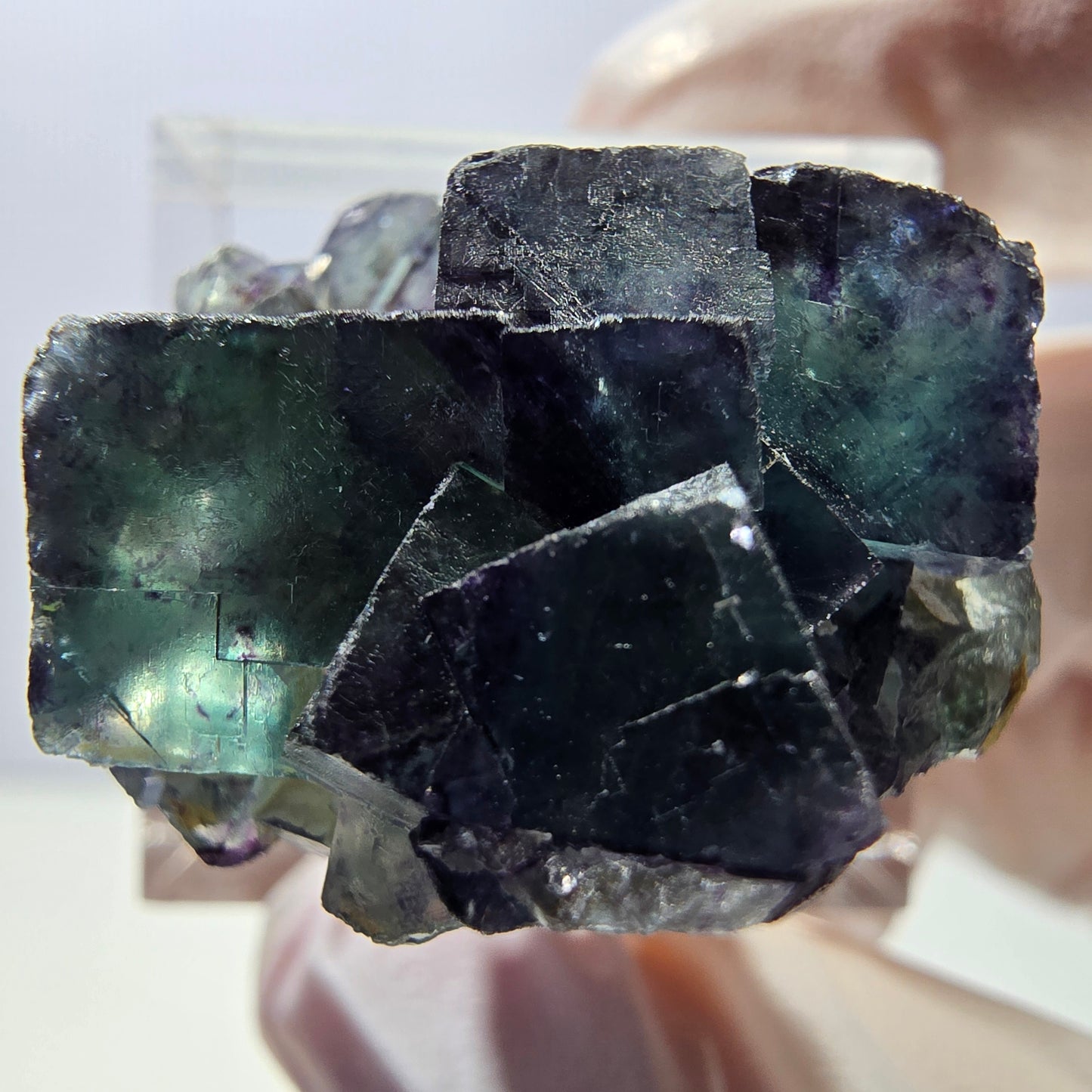 Rare spécimen de cube de fluorite fantôme, vert-violet, Okorusu, Namibie, 28 x 26 x 16 mm