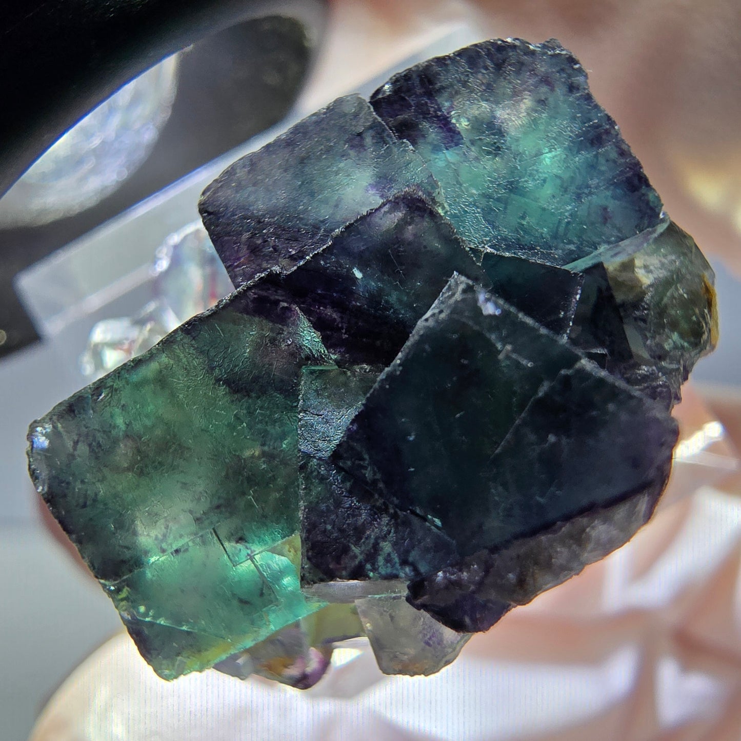 Rare spécimen de cube de fluorite fantôme, vert-violet, Okorusu, Namibie, 28 x 26 x 16 mm