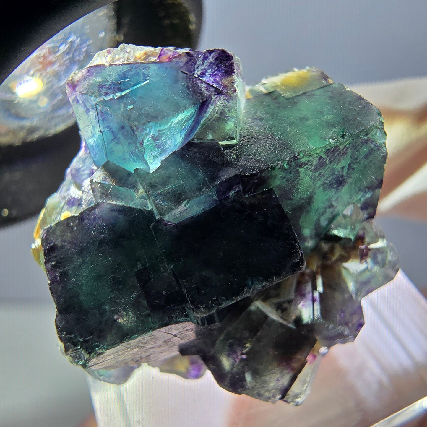 Rare spécimen de cube de fluorite fantôme, vert-violet, Okorusu, Namibie, 28 x 26 x 16 mm