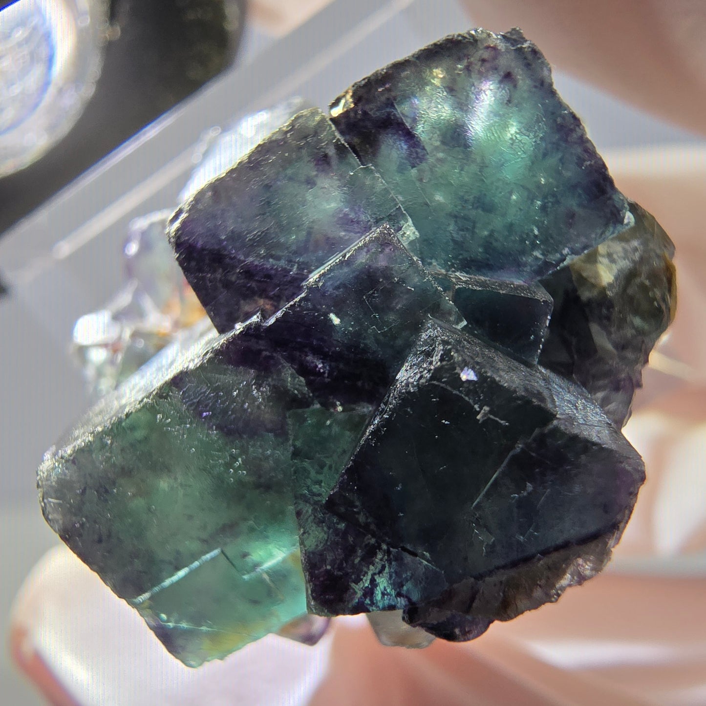 Rare spécimen de cube de fluorite fantôme, vert-violet, Okorusu, Namibie, 28 x 26 x 16 mm